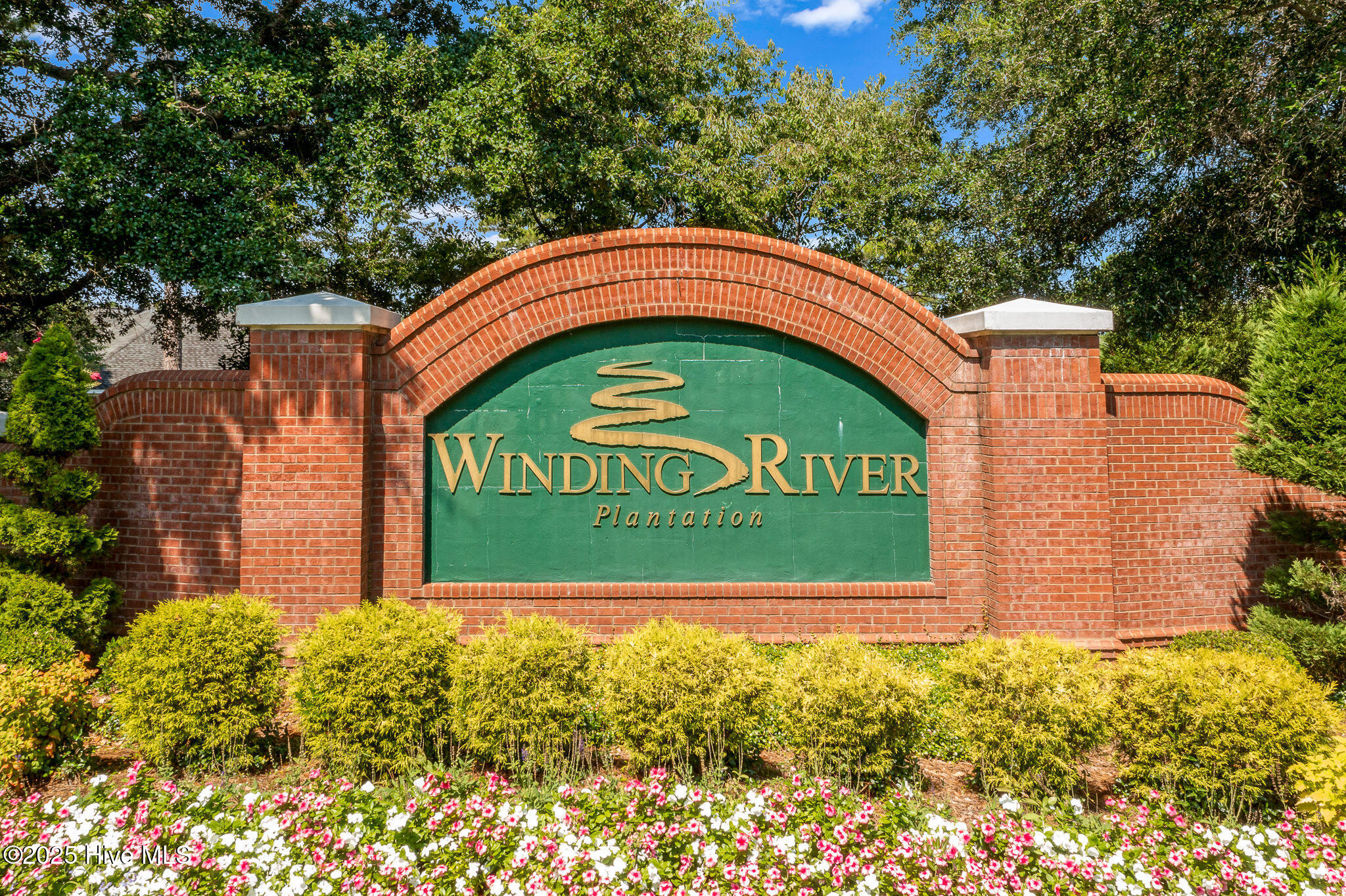 100533219 | Photo 52