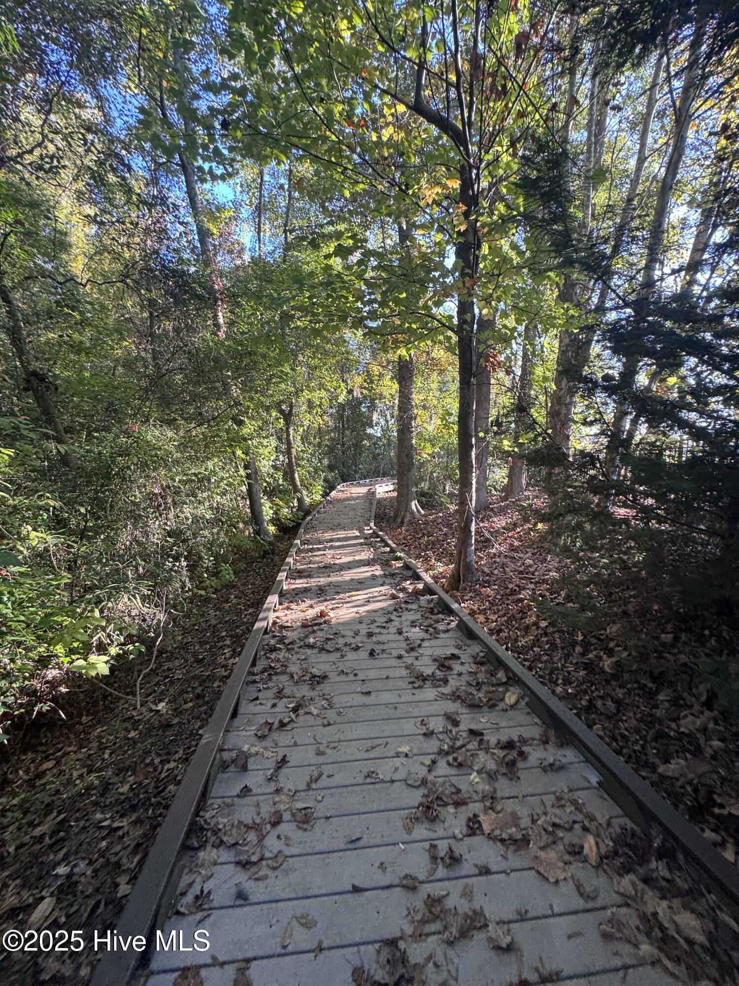 100539282 | Photo 34