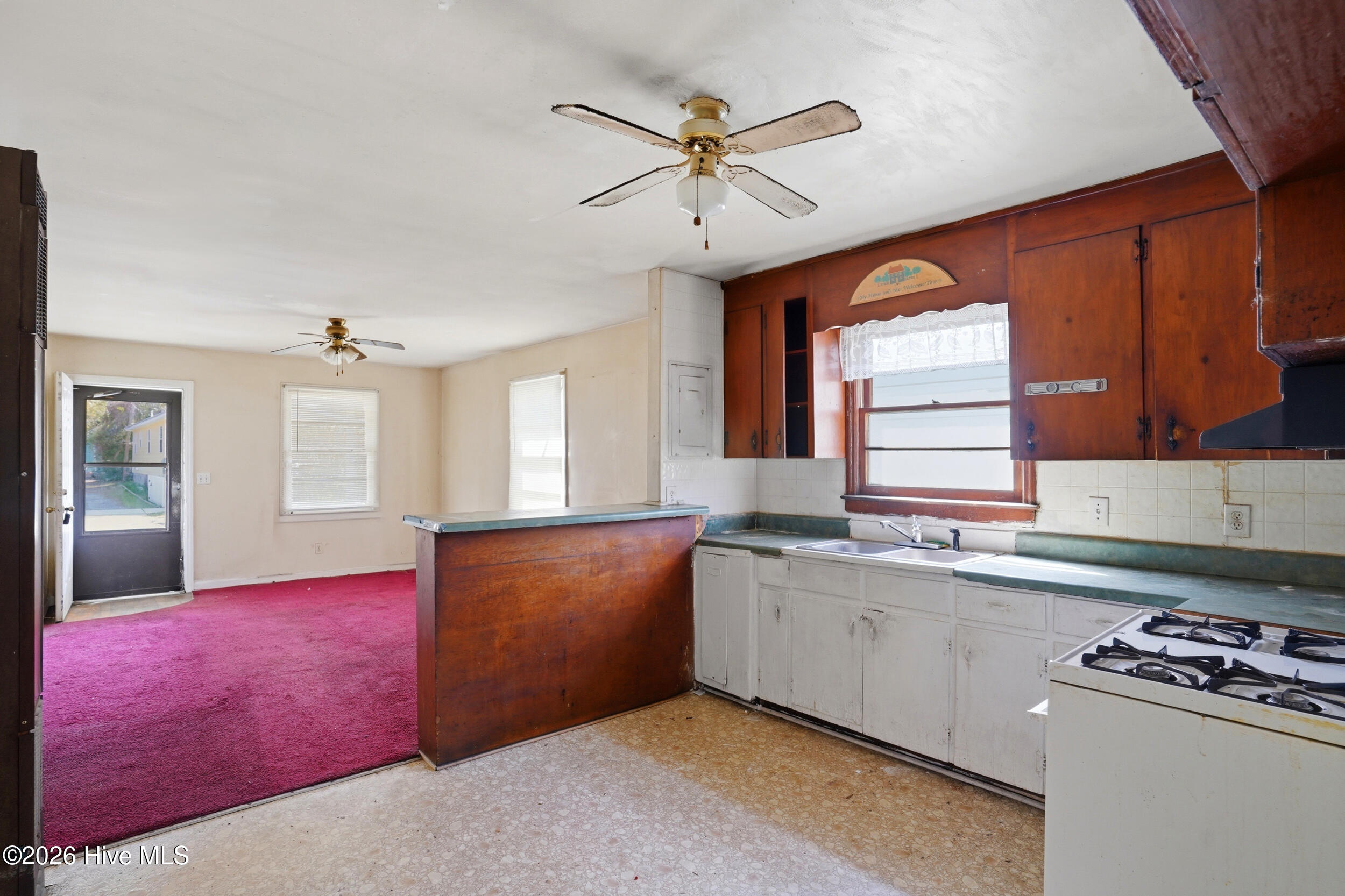 100564252 | Photo 10