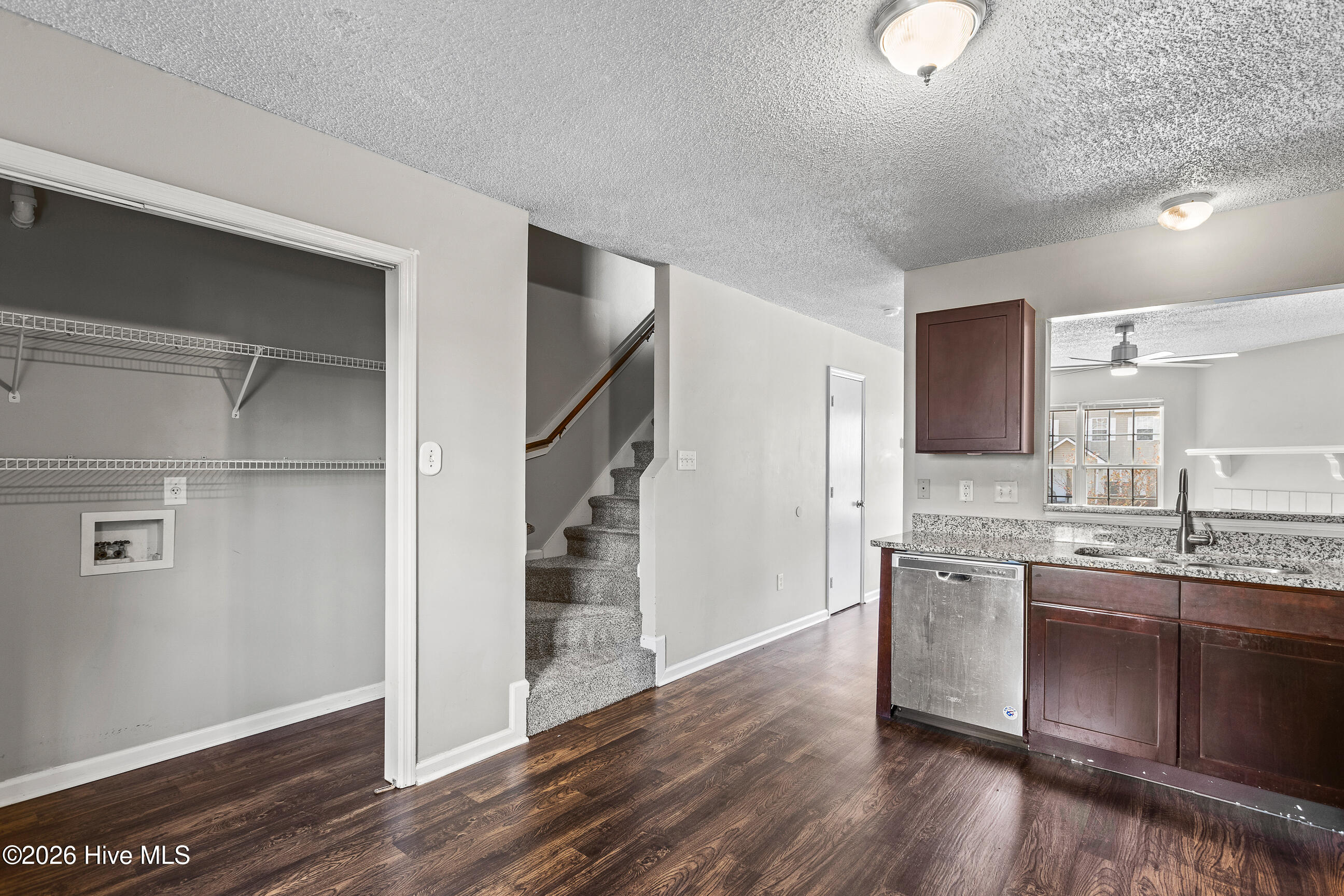 100558905 | Photo 10