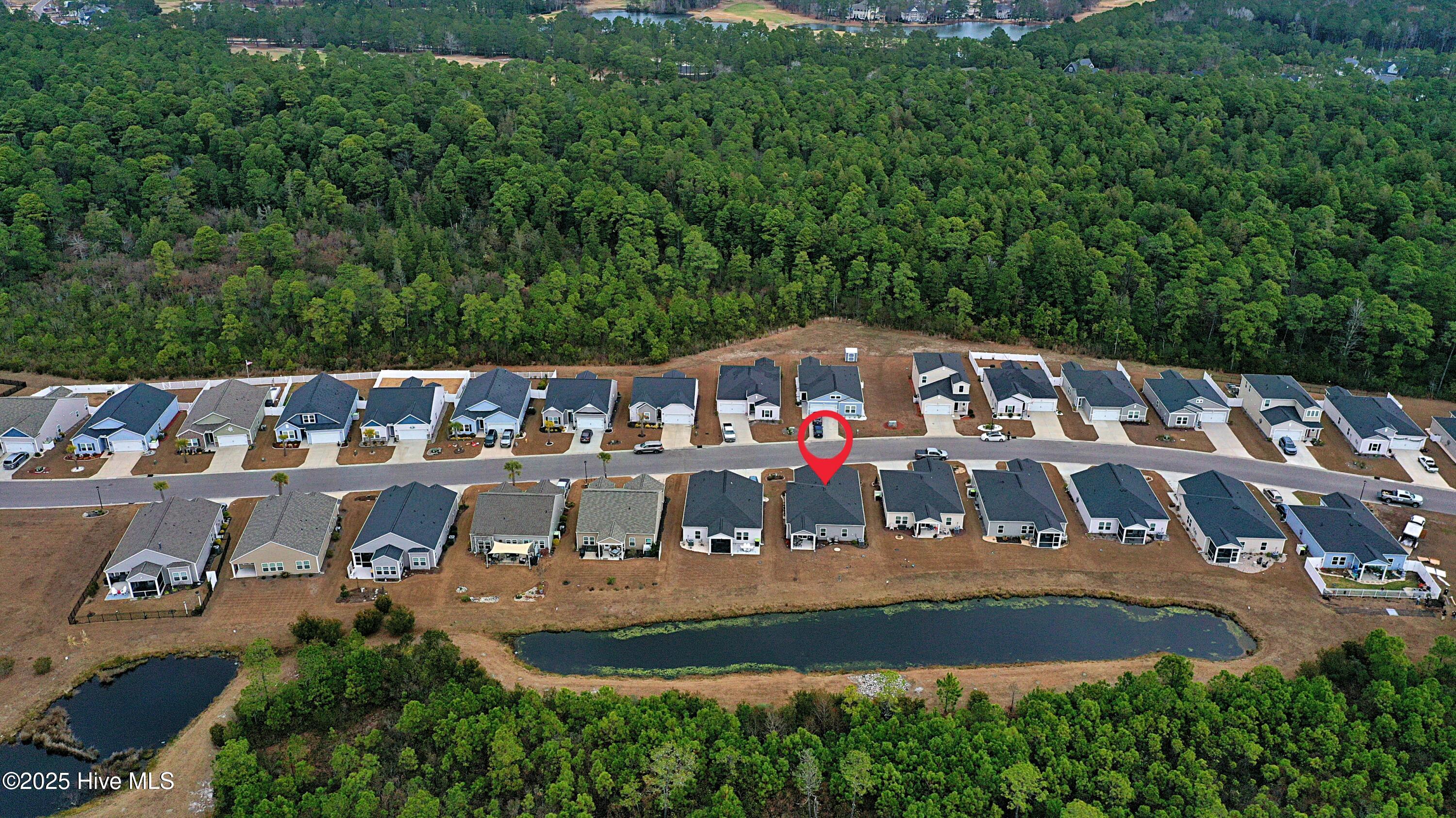 100547065 | Photo 30