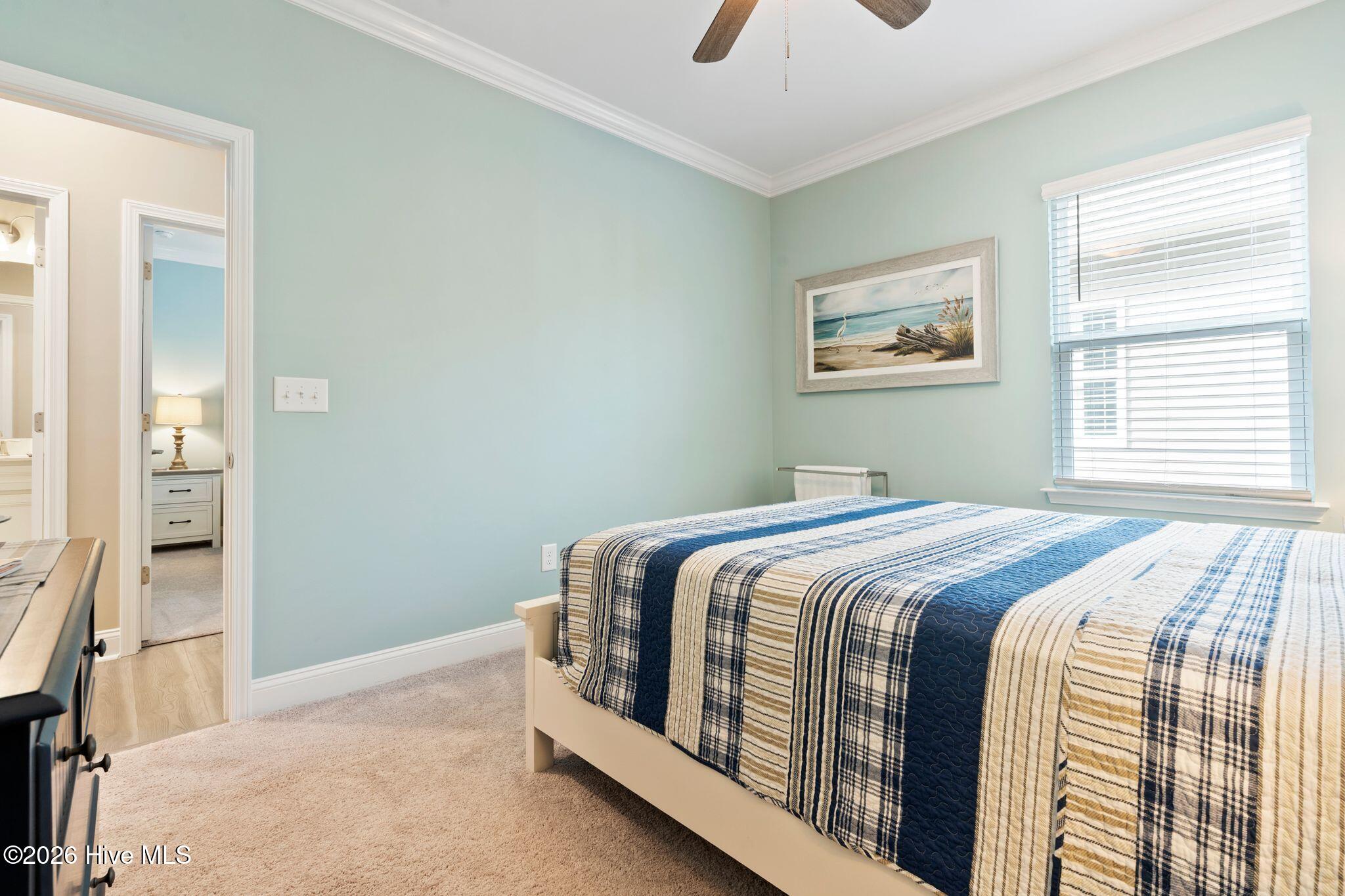 100553867 | Photo 28