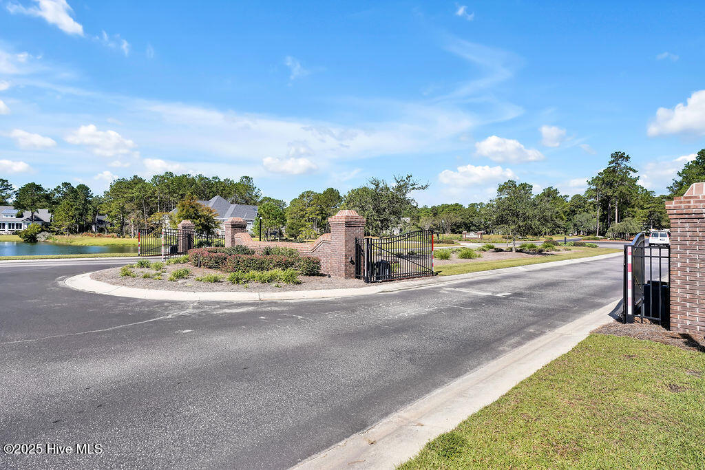 100535984 | Photo 113