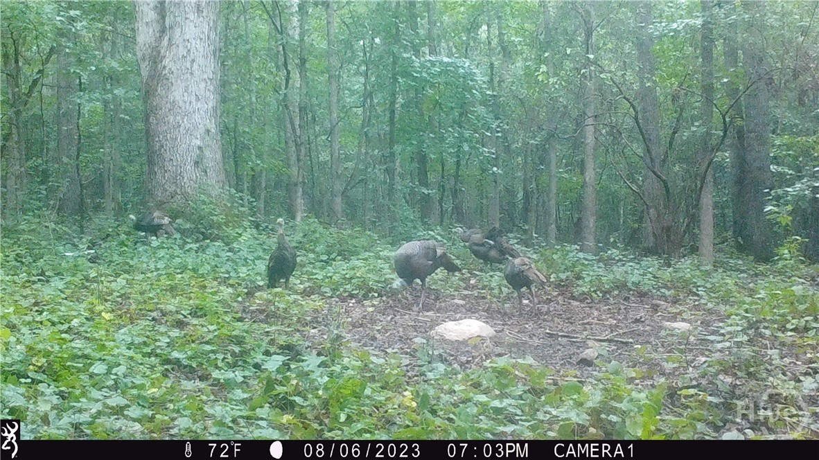 Homes for sale in Commerce, GA | 742 Harmony Gates Dr, Commerce, GA 30529 | MLS# CL336783