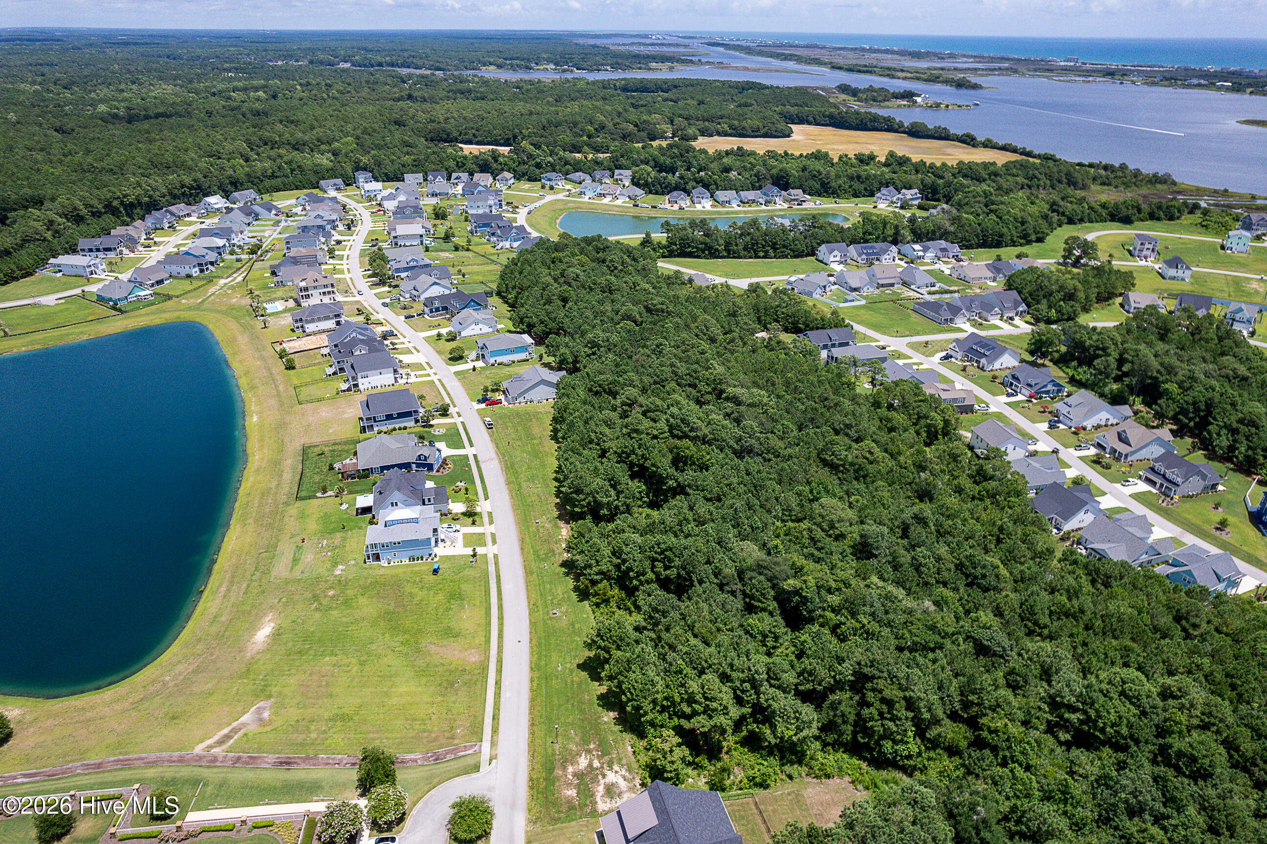 100560315 | Photo 11