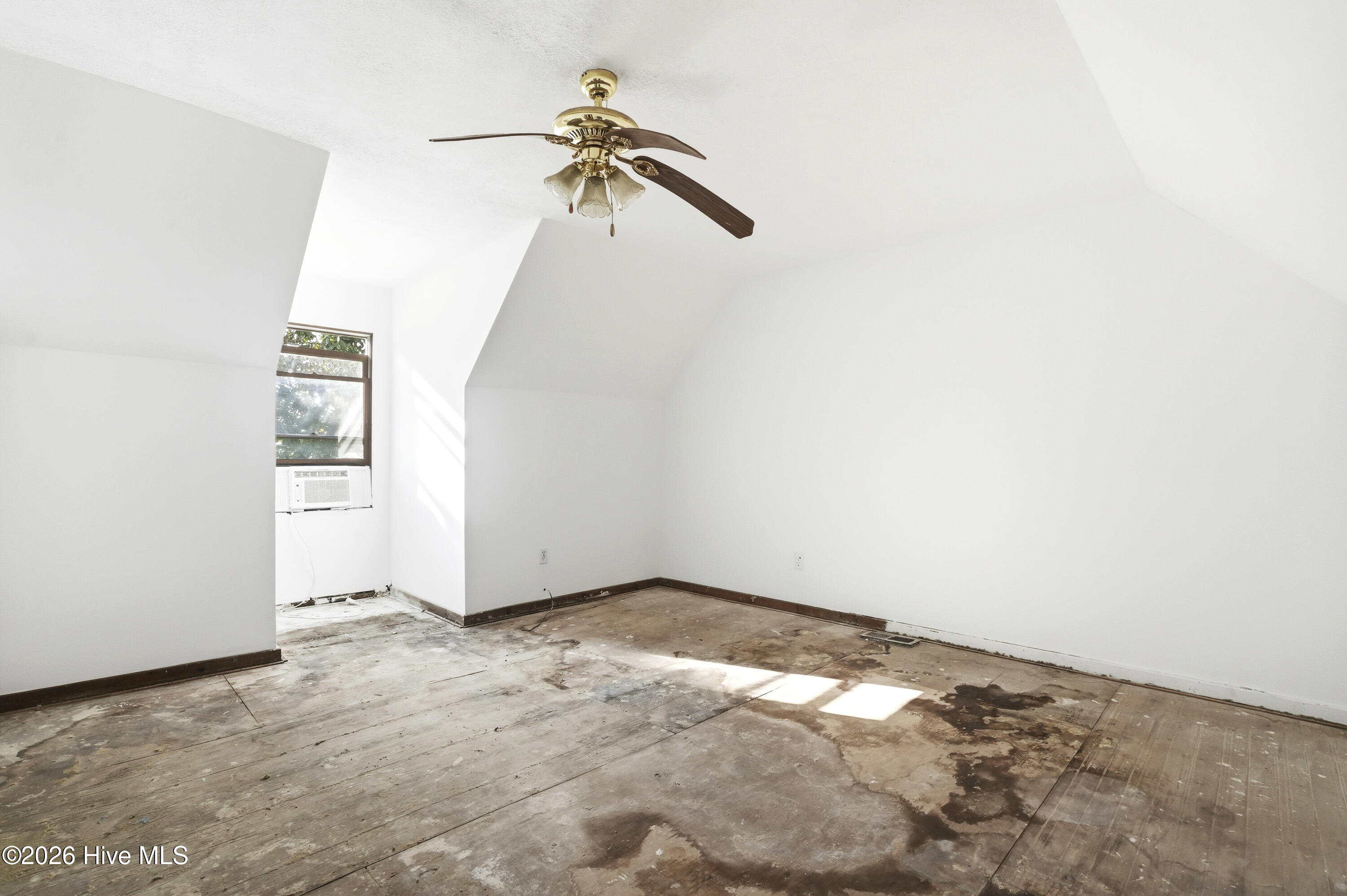 100568902 | Photo 33