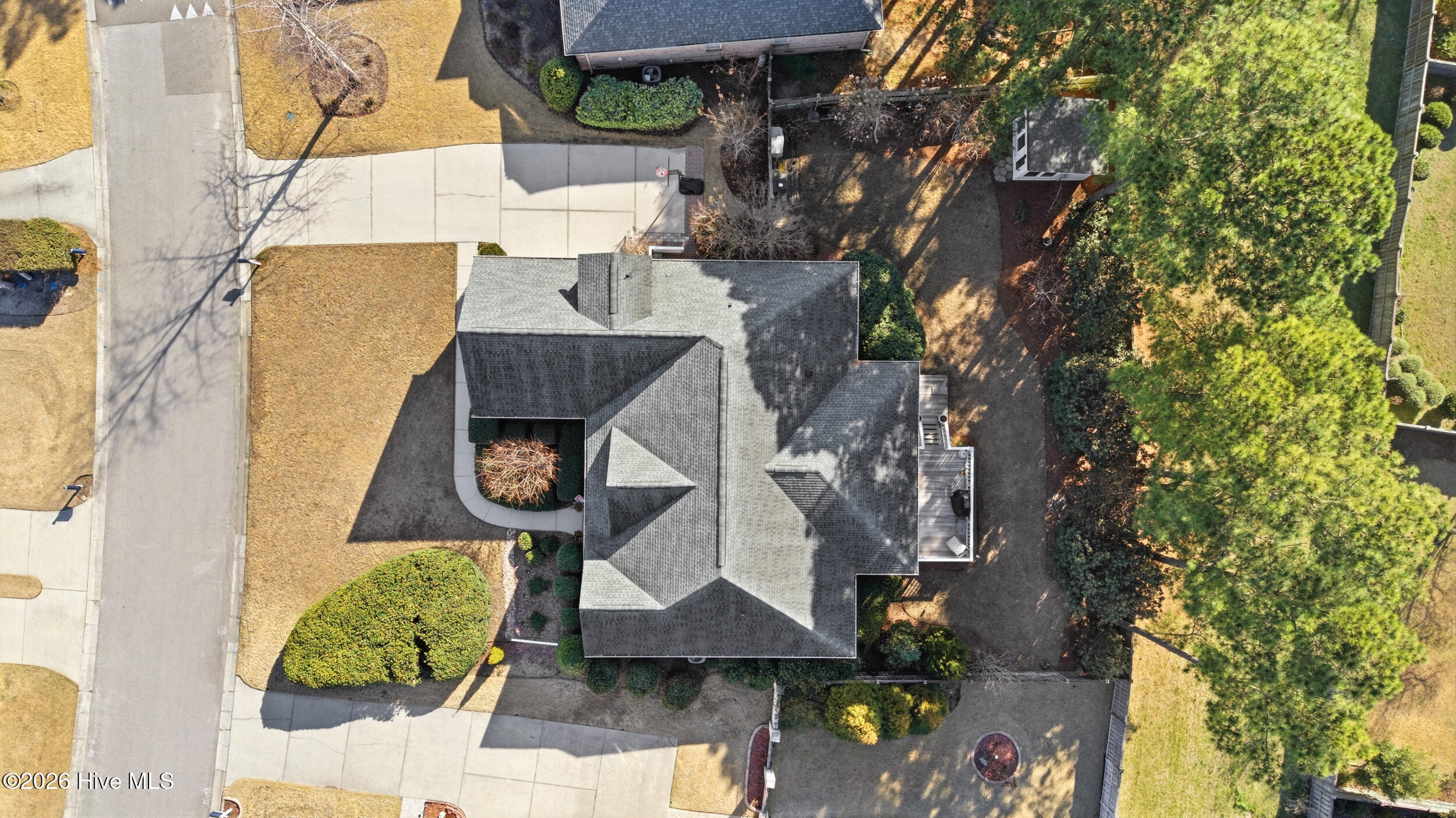 100558582 | Photo 50