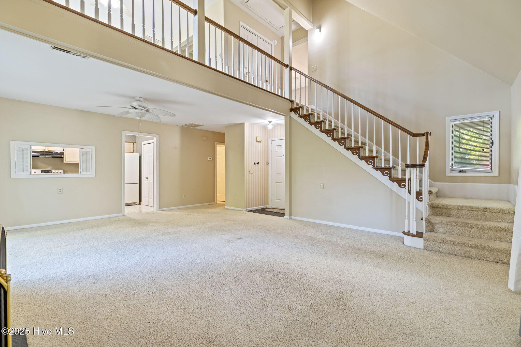 100535092 | Photo 12