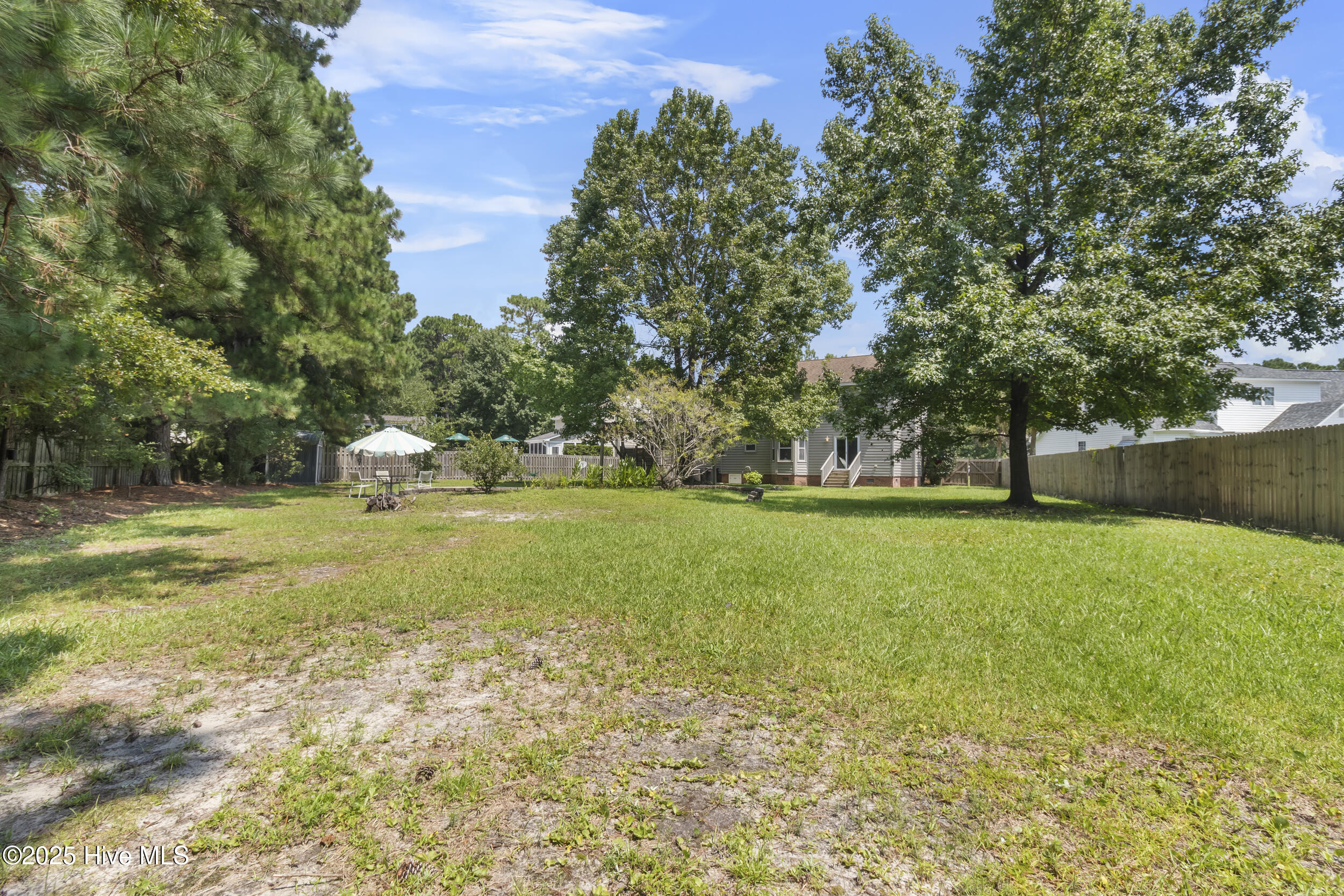 100526469 | Photo 31