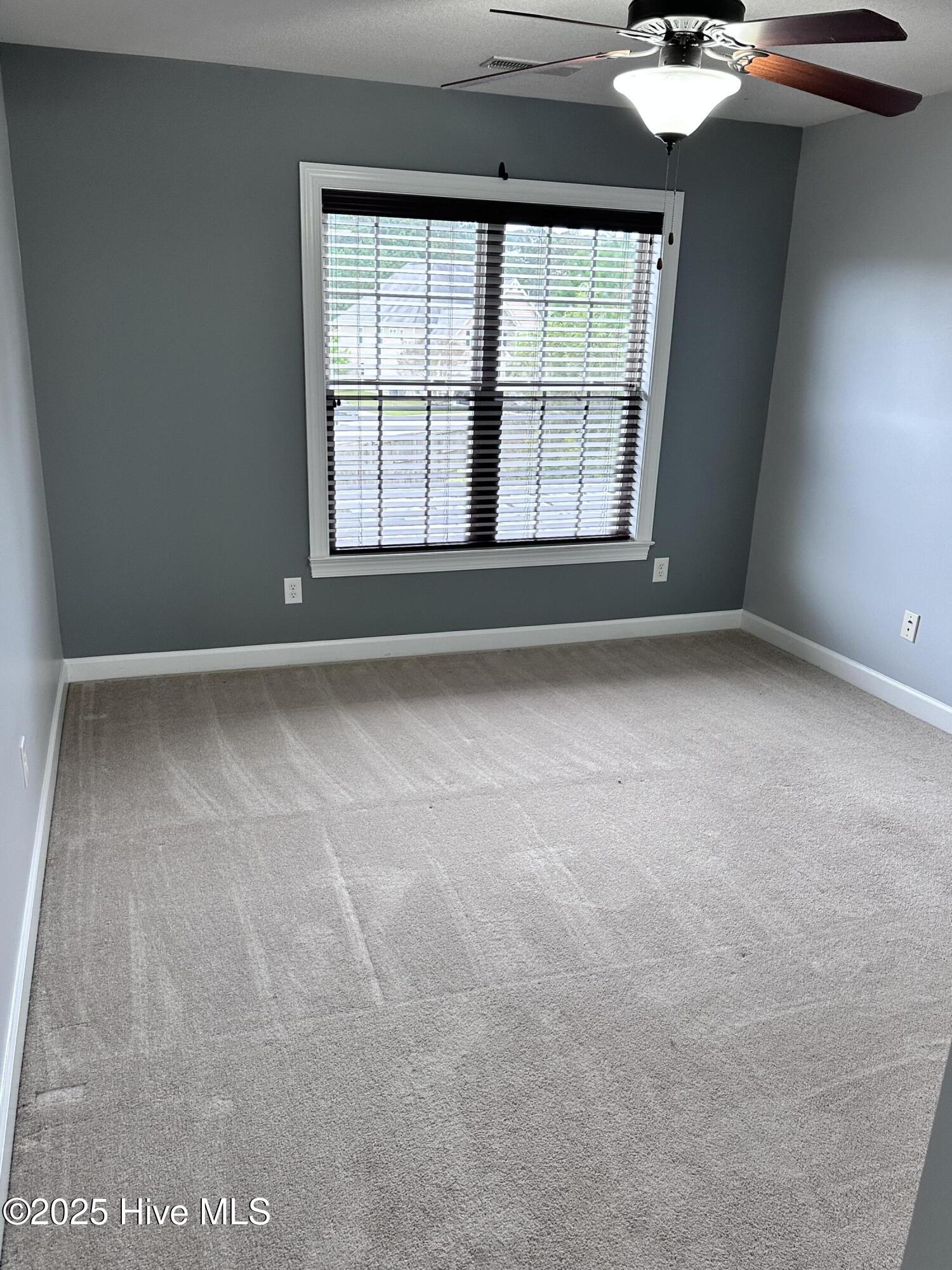 100534428 | Photo 18