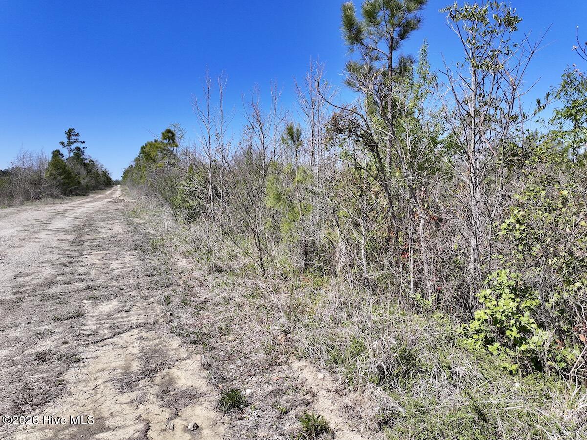 0 Guinea Mill Road, Ernul, NC, 28527