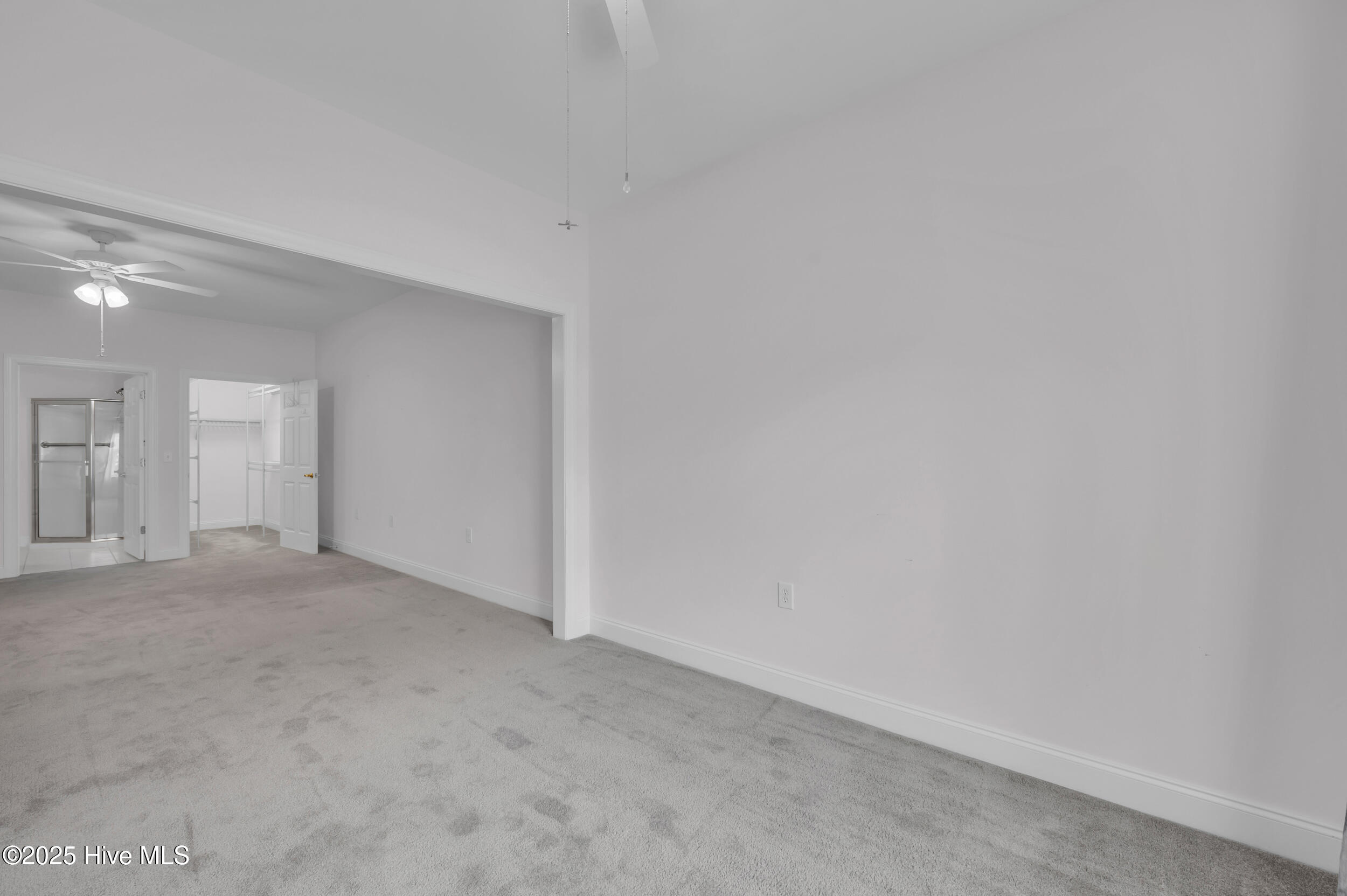 100564628 | Photo 20