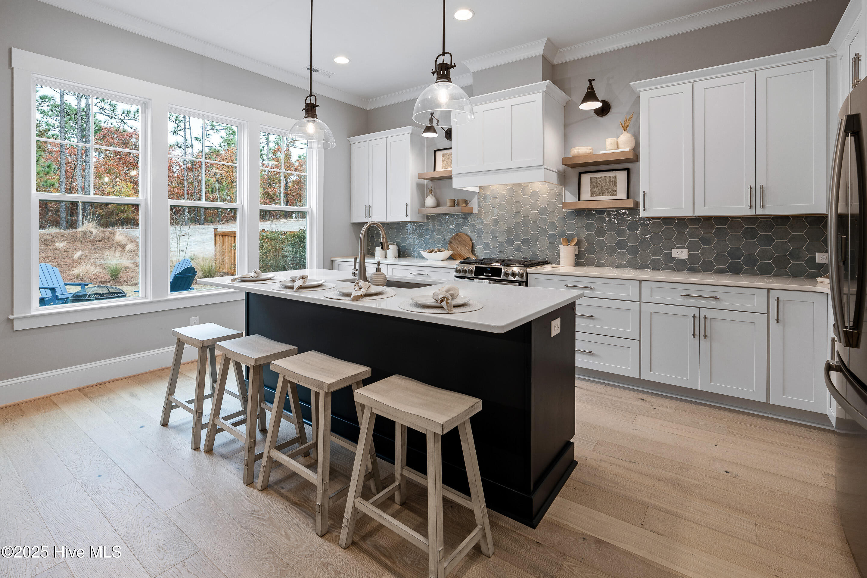 100538796 | Photo 12