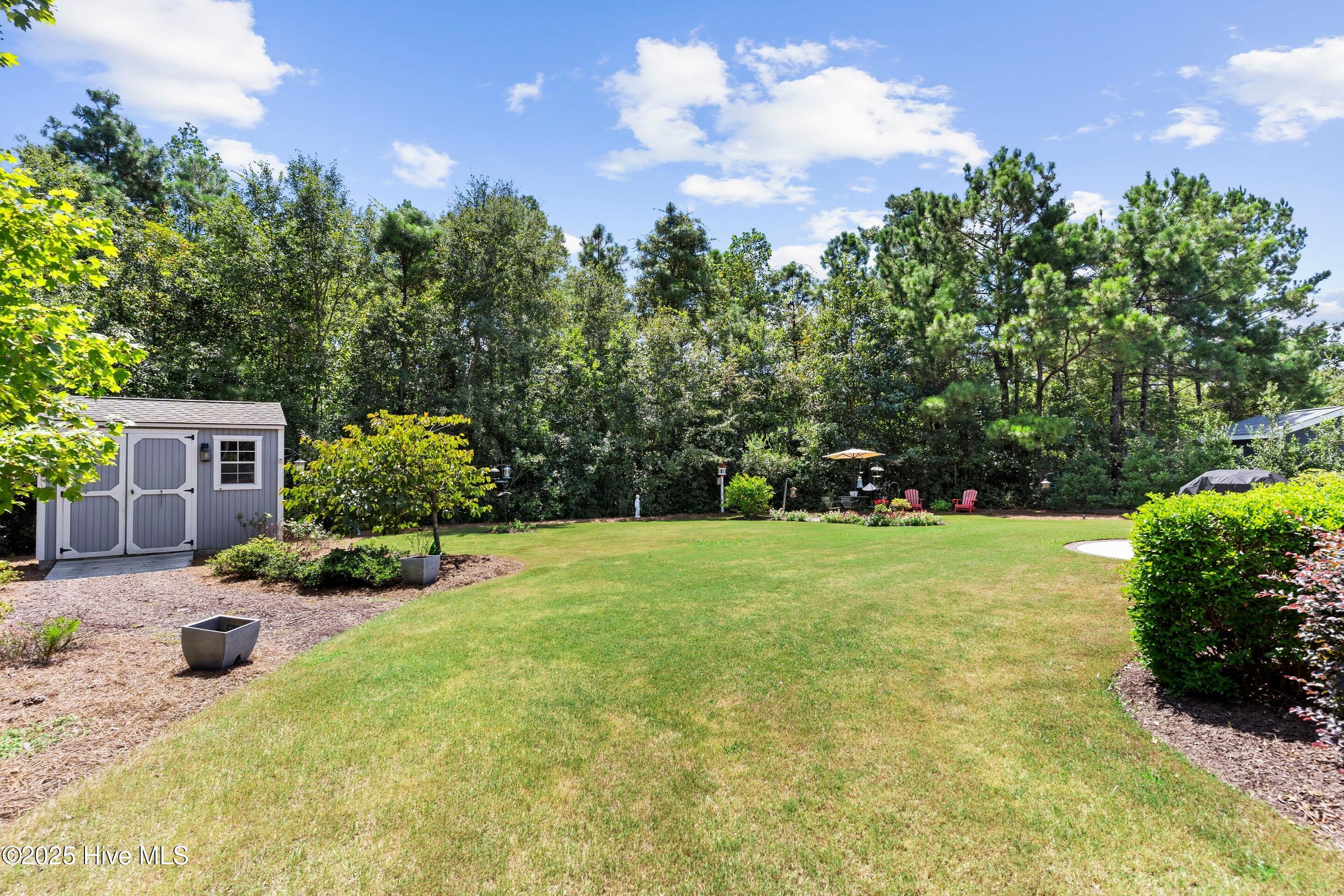 100527117 | Photo 43