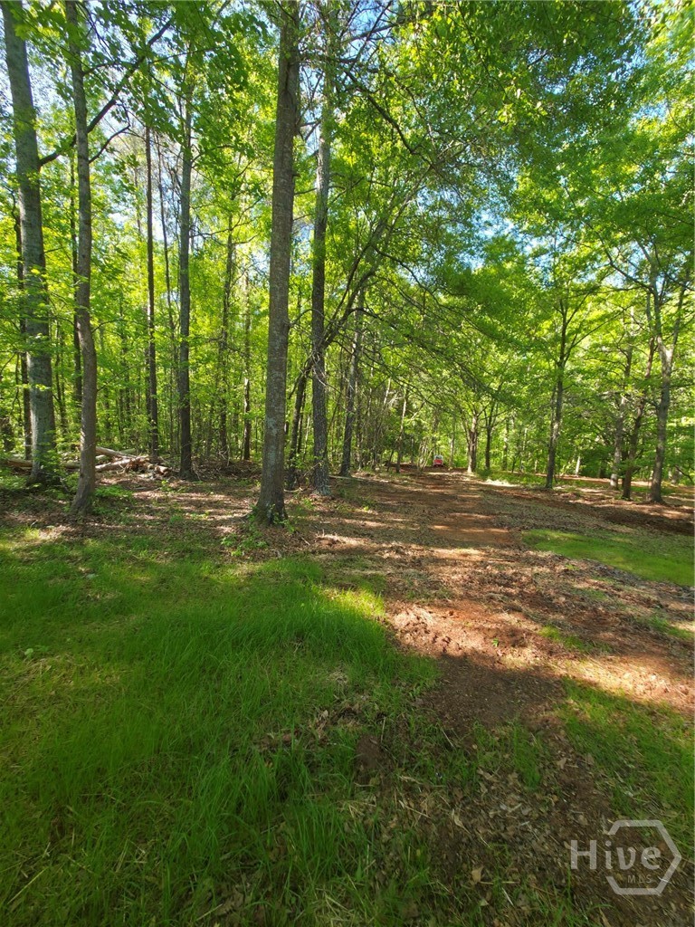 866 Smithonia Road, Winterville, GA, 30683