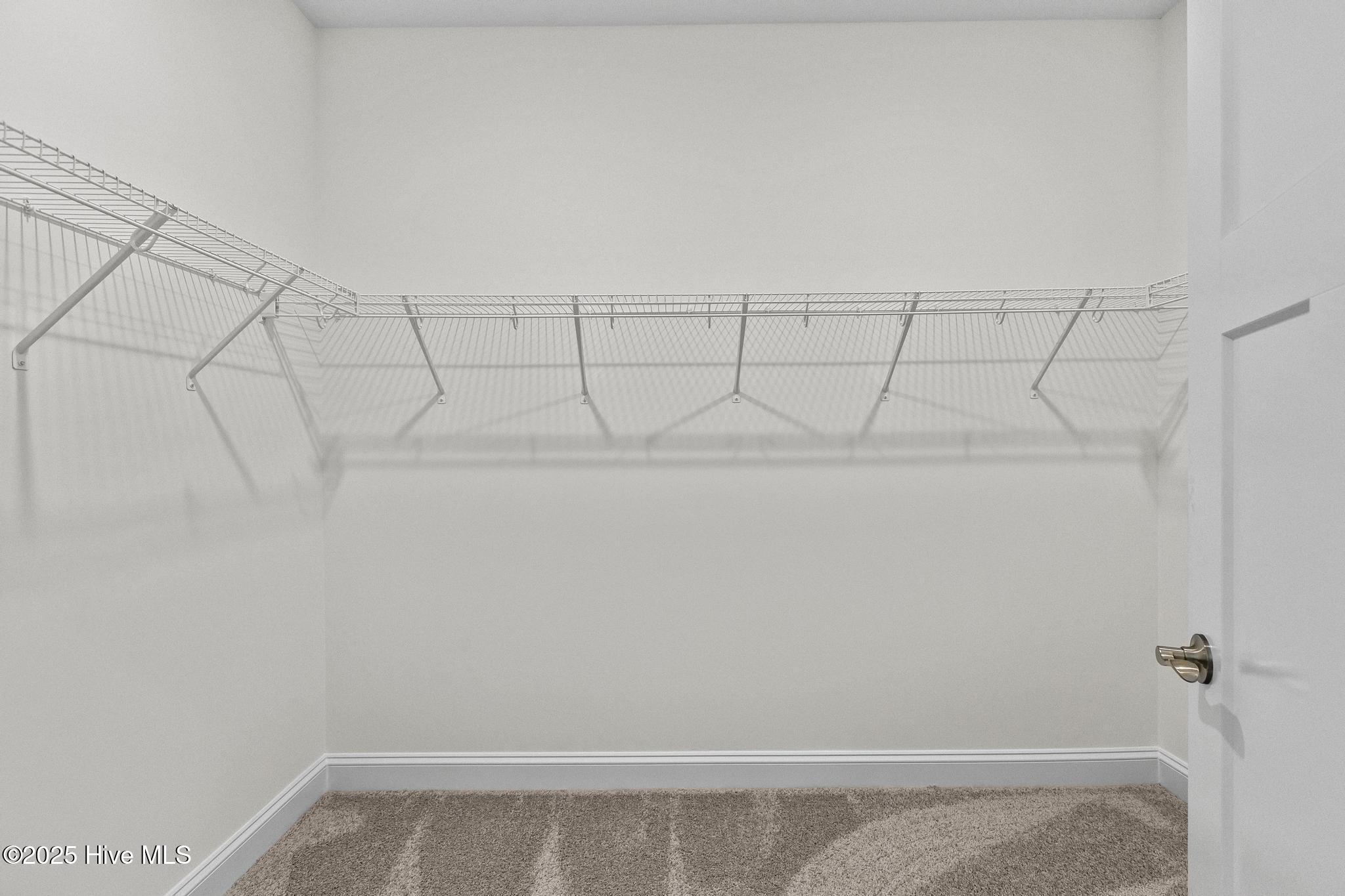 100511230 | Photo 21