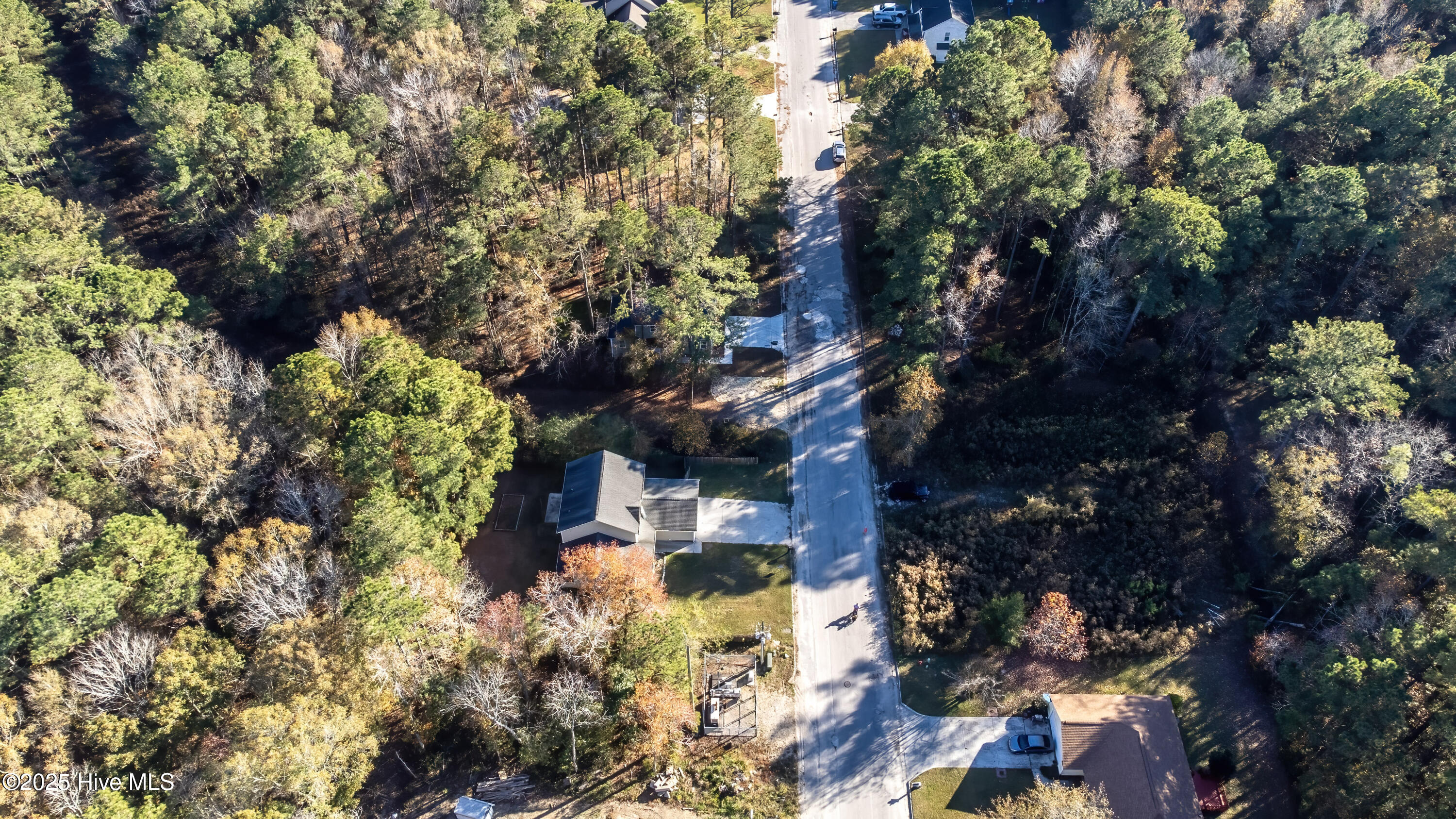 100538278 | Photo 49