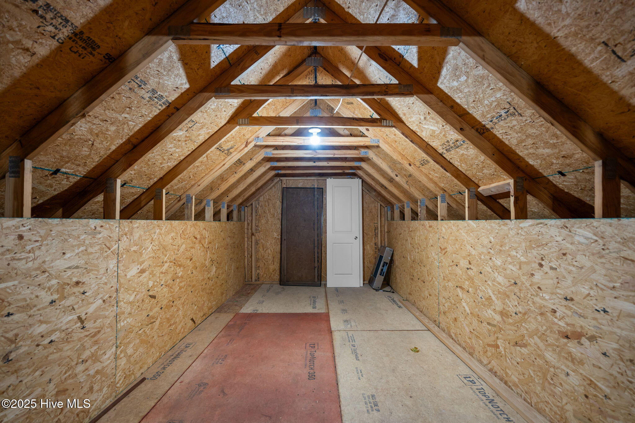 100540336 | Photo 50