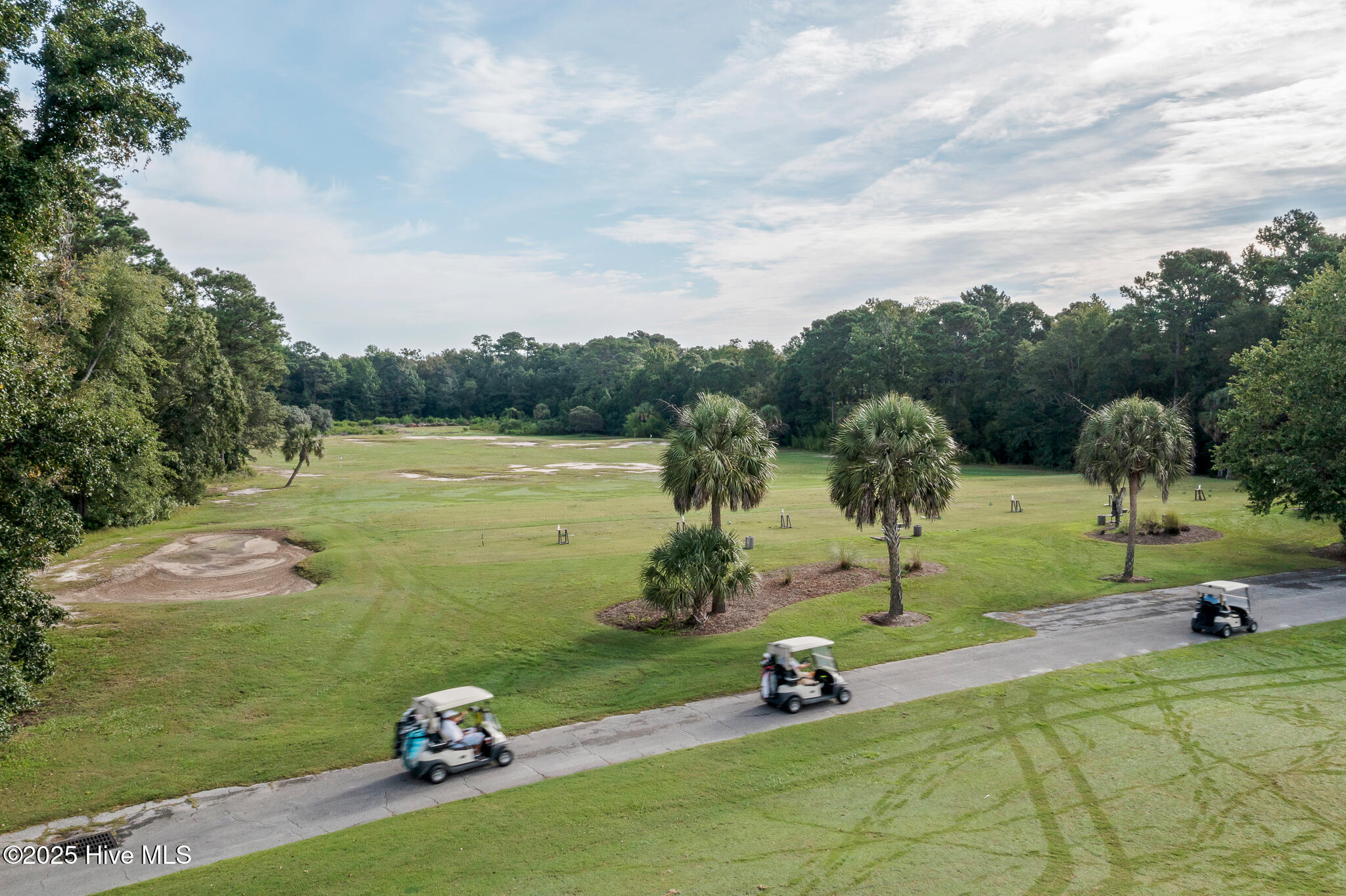 100528098 | Photo 54