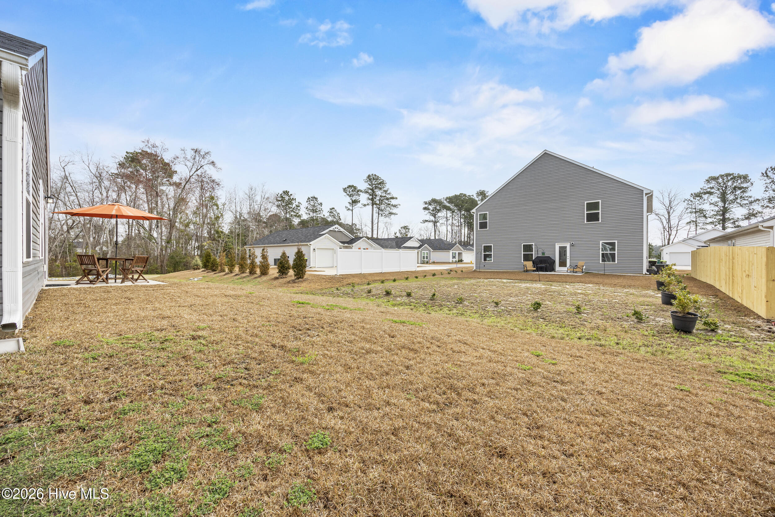 100558614 | Photo 29