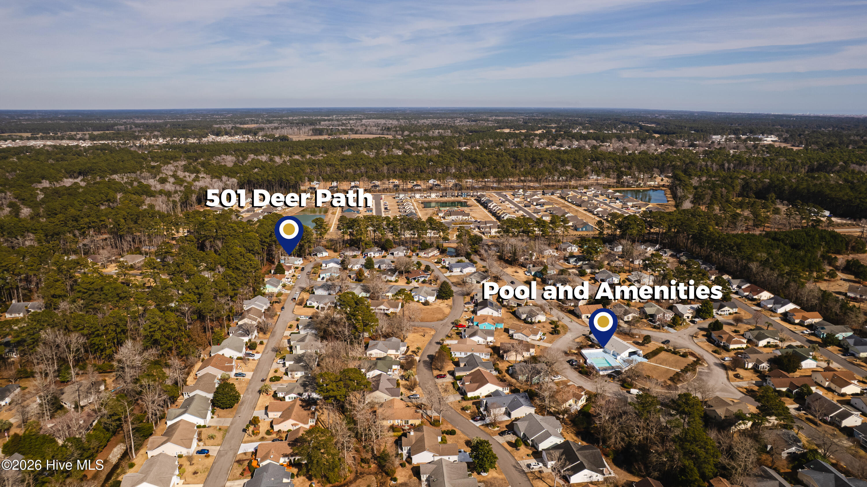 100555221 | Photo 37