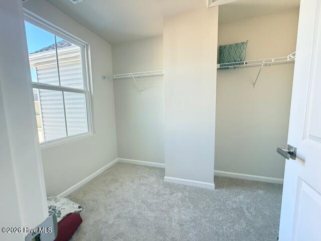 100550616 | Photo 27