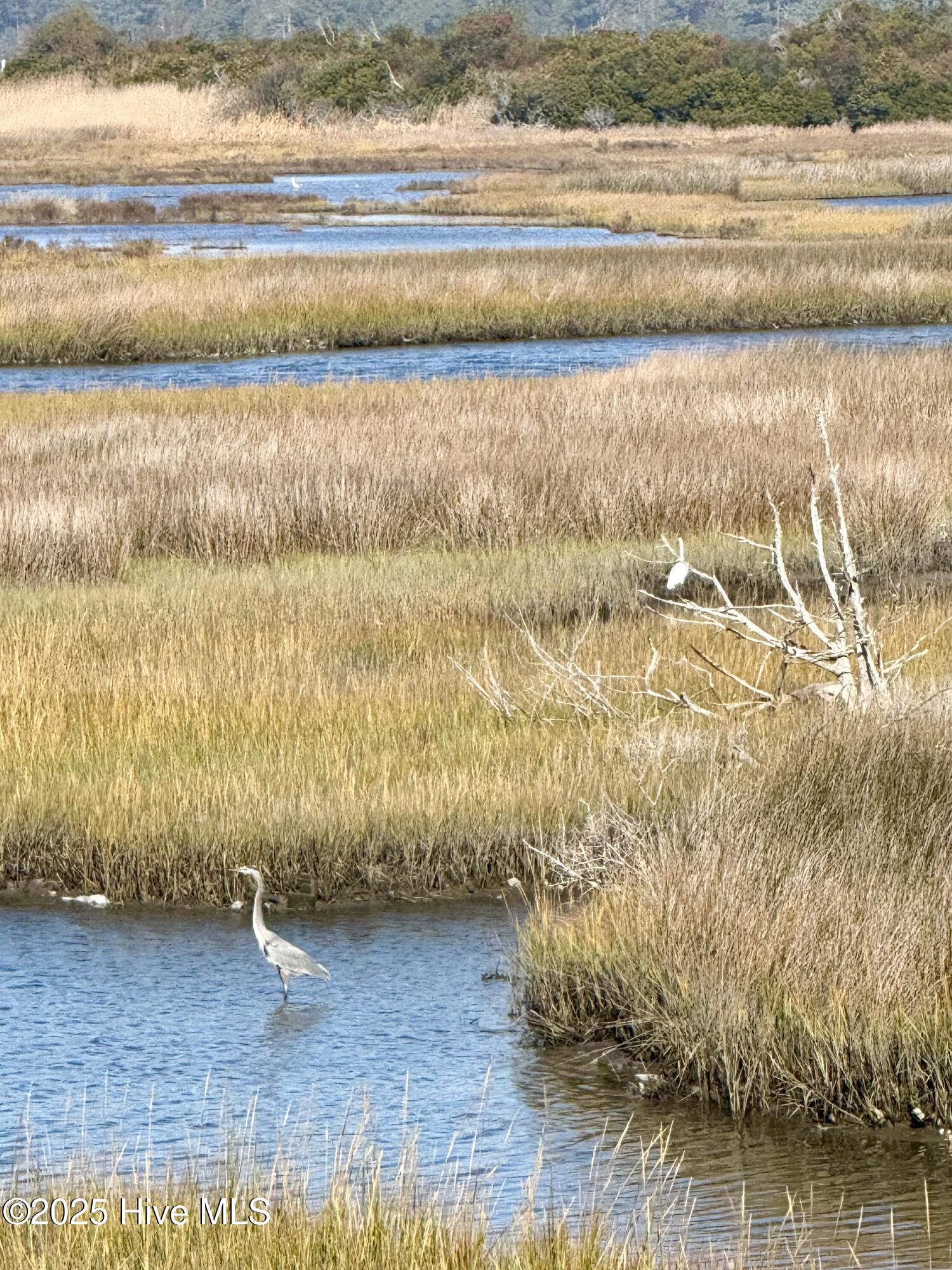 100496127 | Photo 26