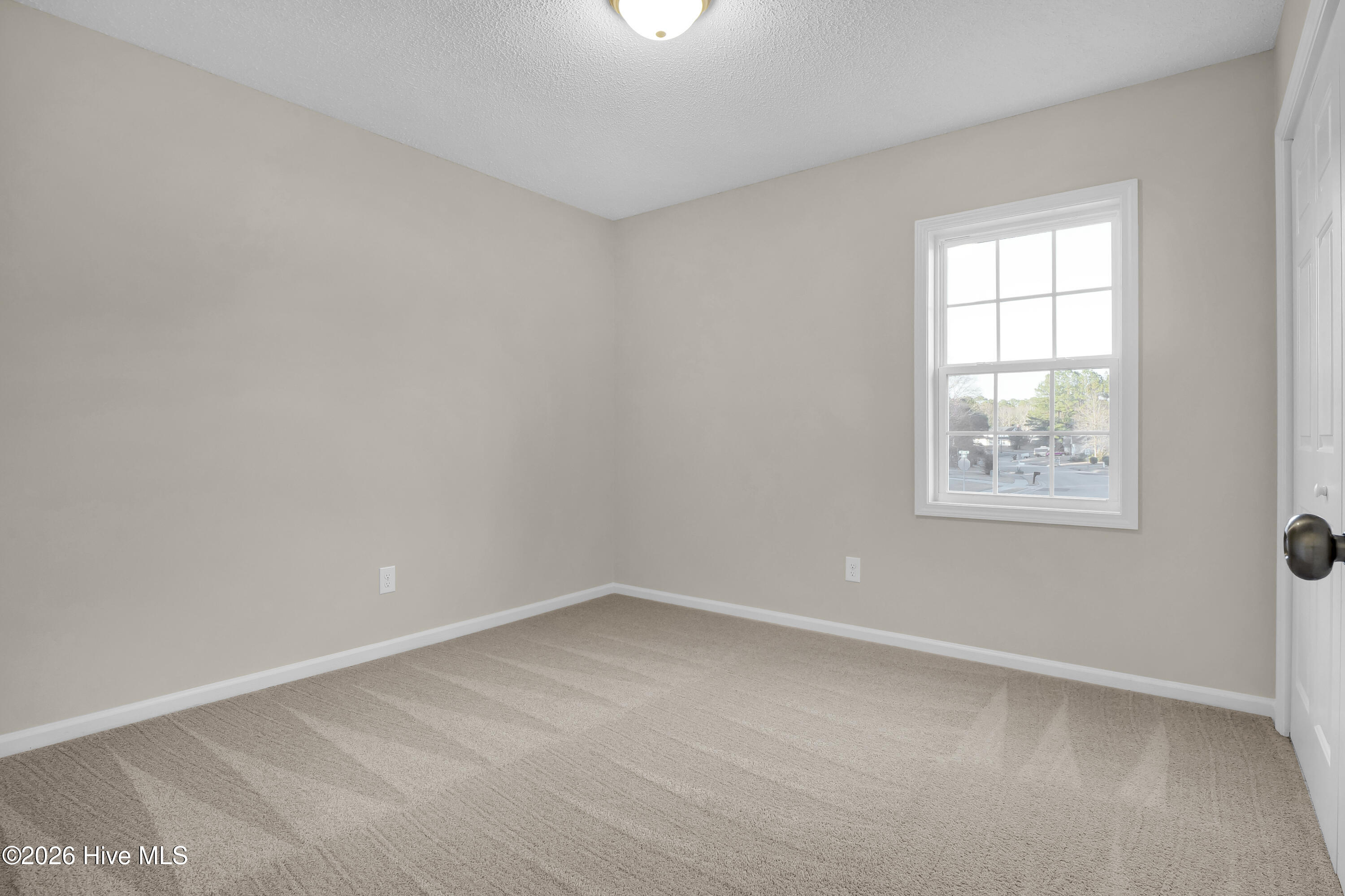 100552013 | Photo 23