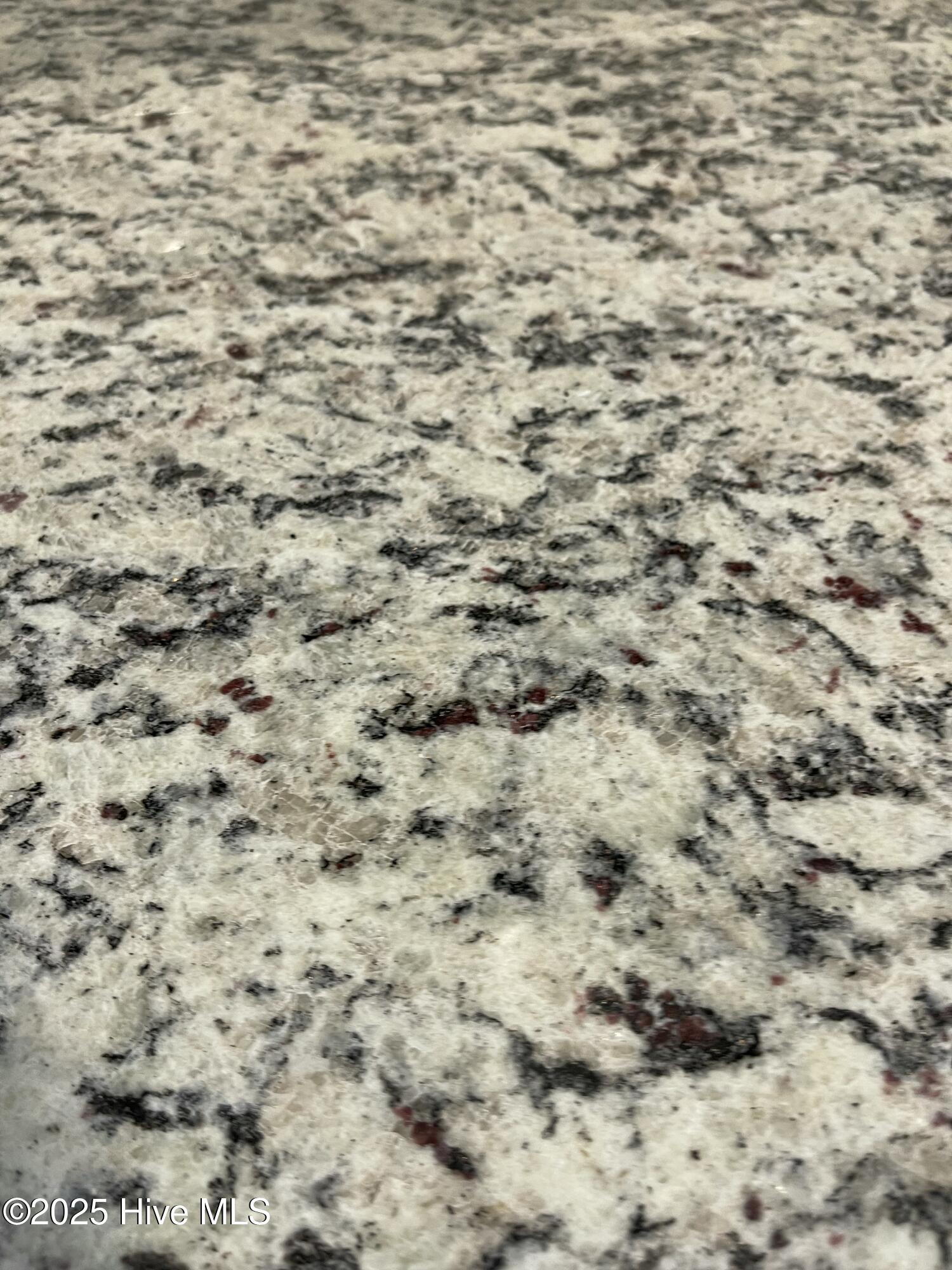 100422269 | Photo 30