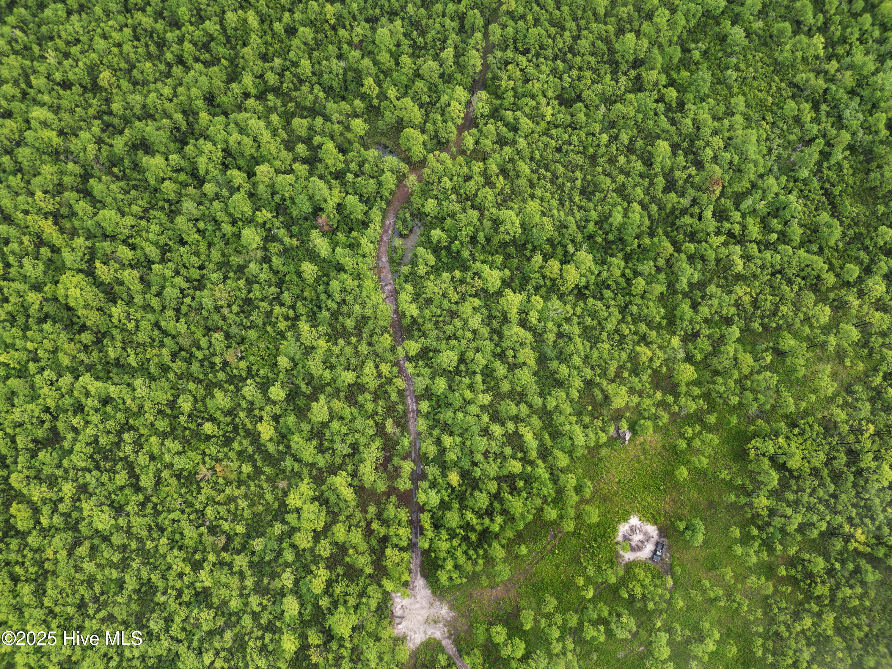 100525966 | Photo 15