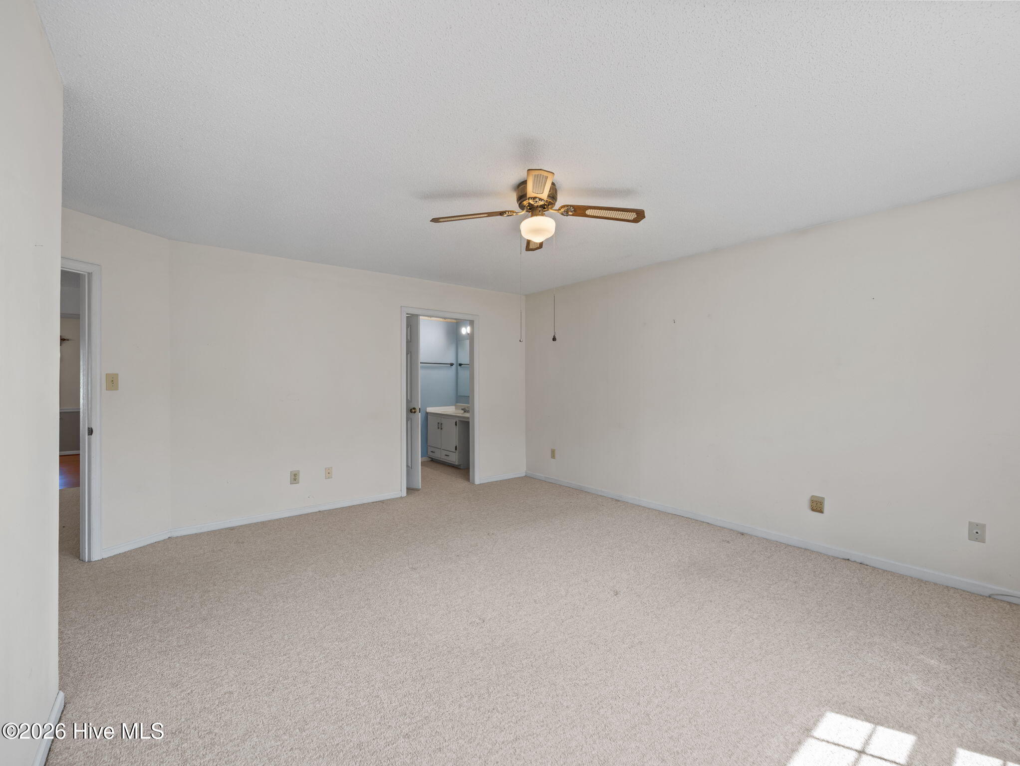 100565742 | Photo 24