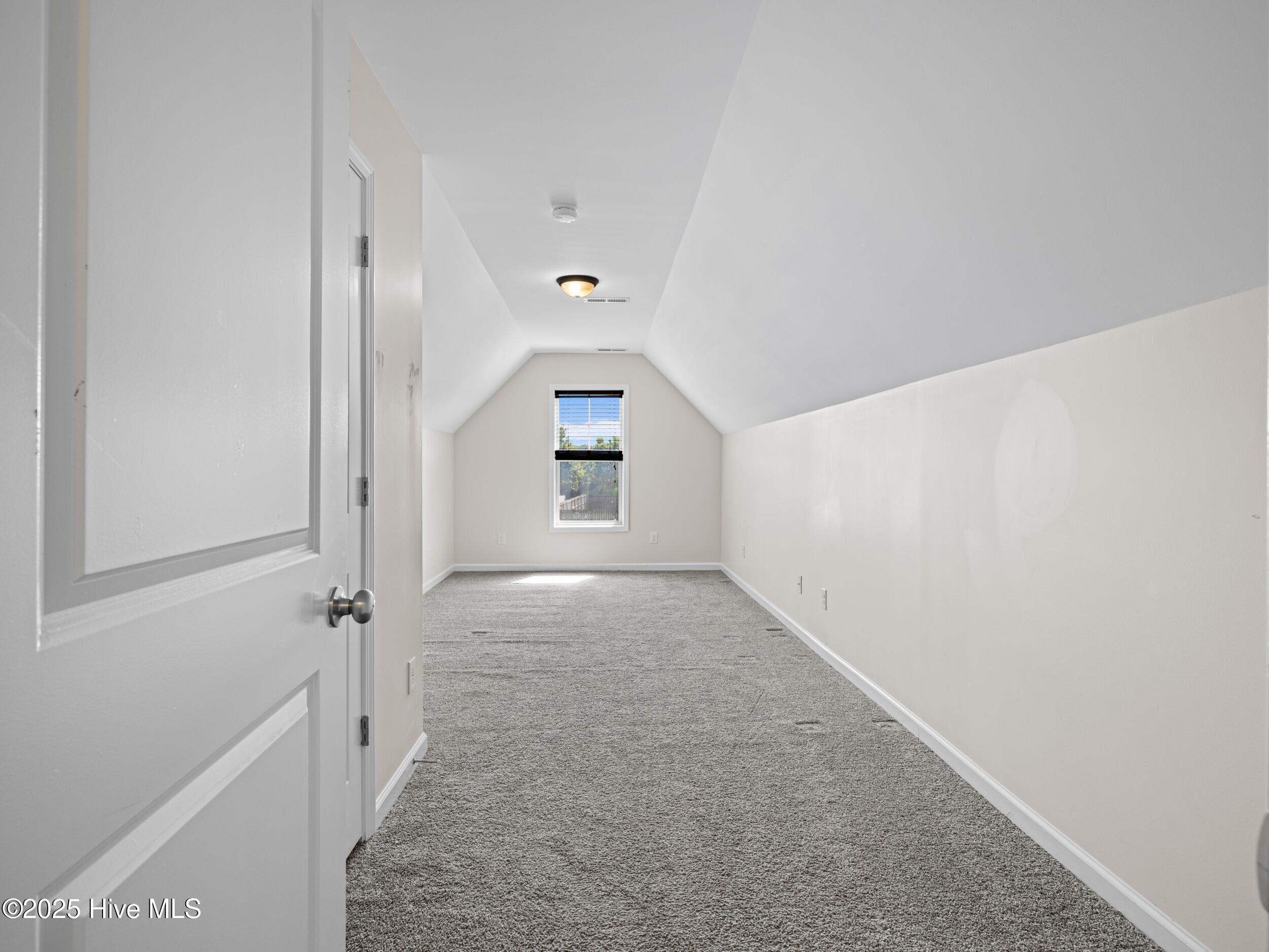 100531847 | Photo 35