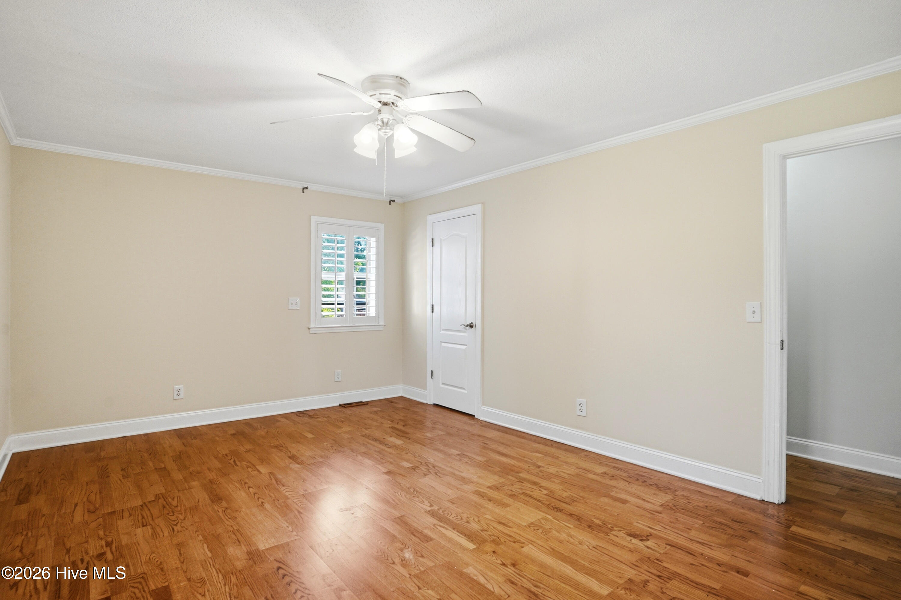 100567003 | Photo 16