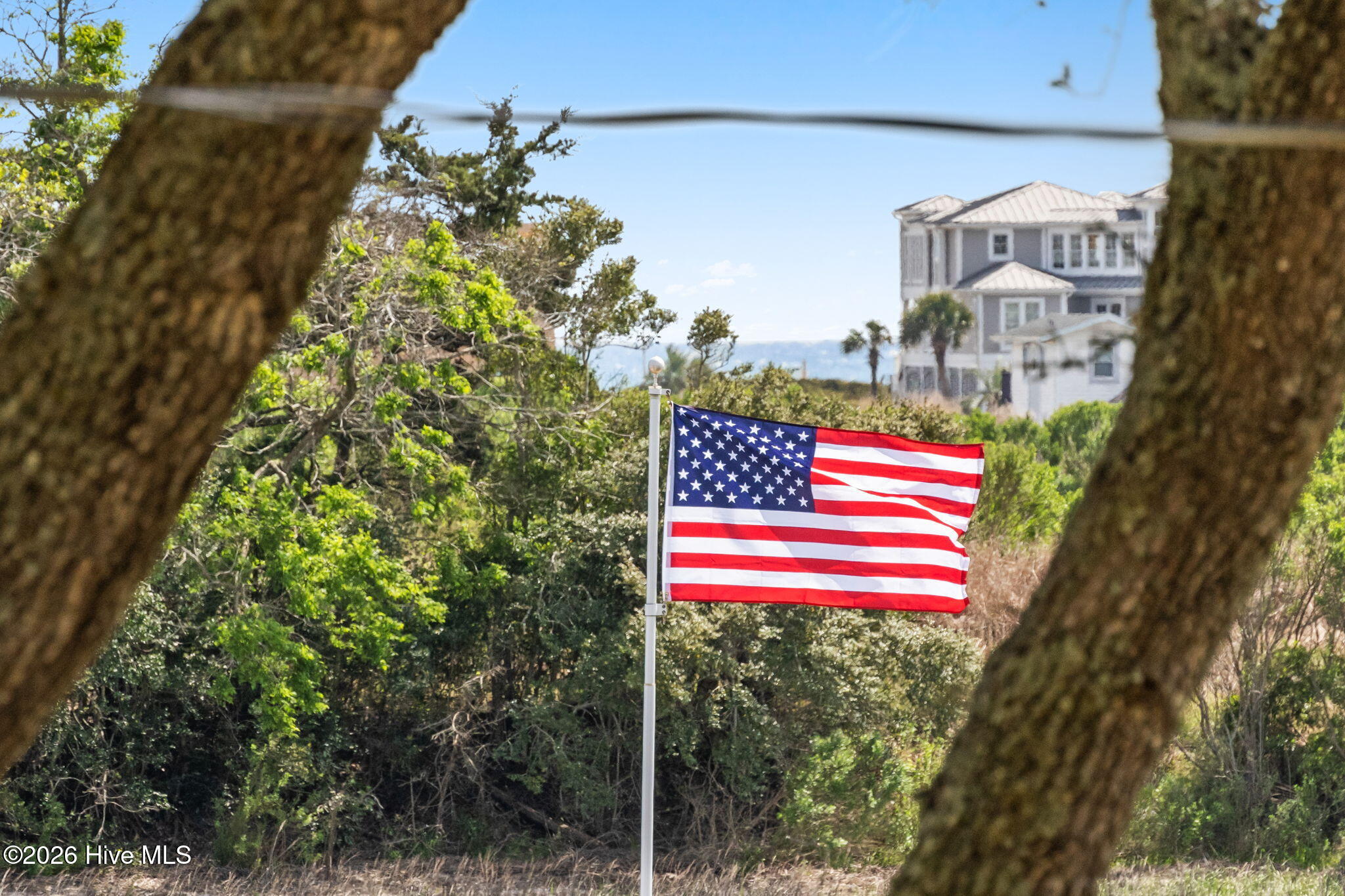 100566344 | Photo 69