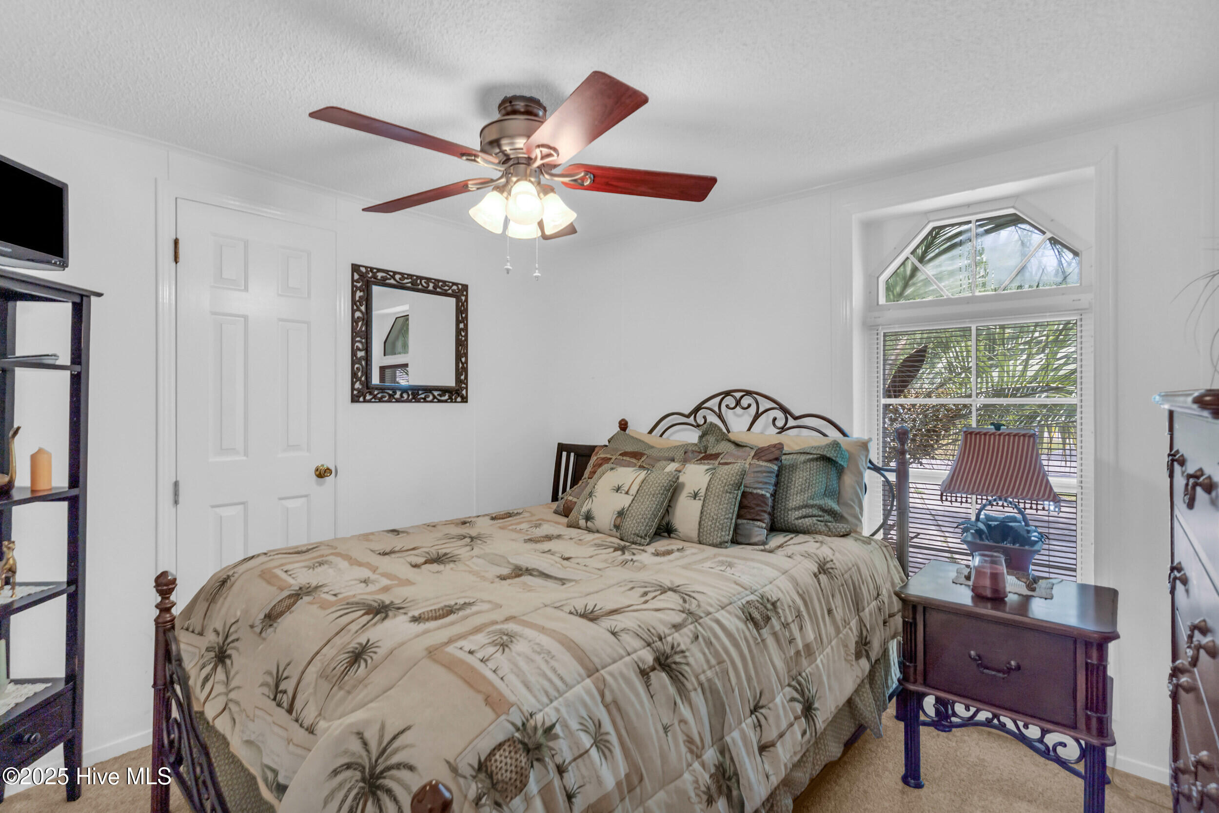 100559828 | Photo 17