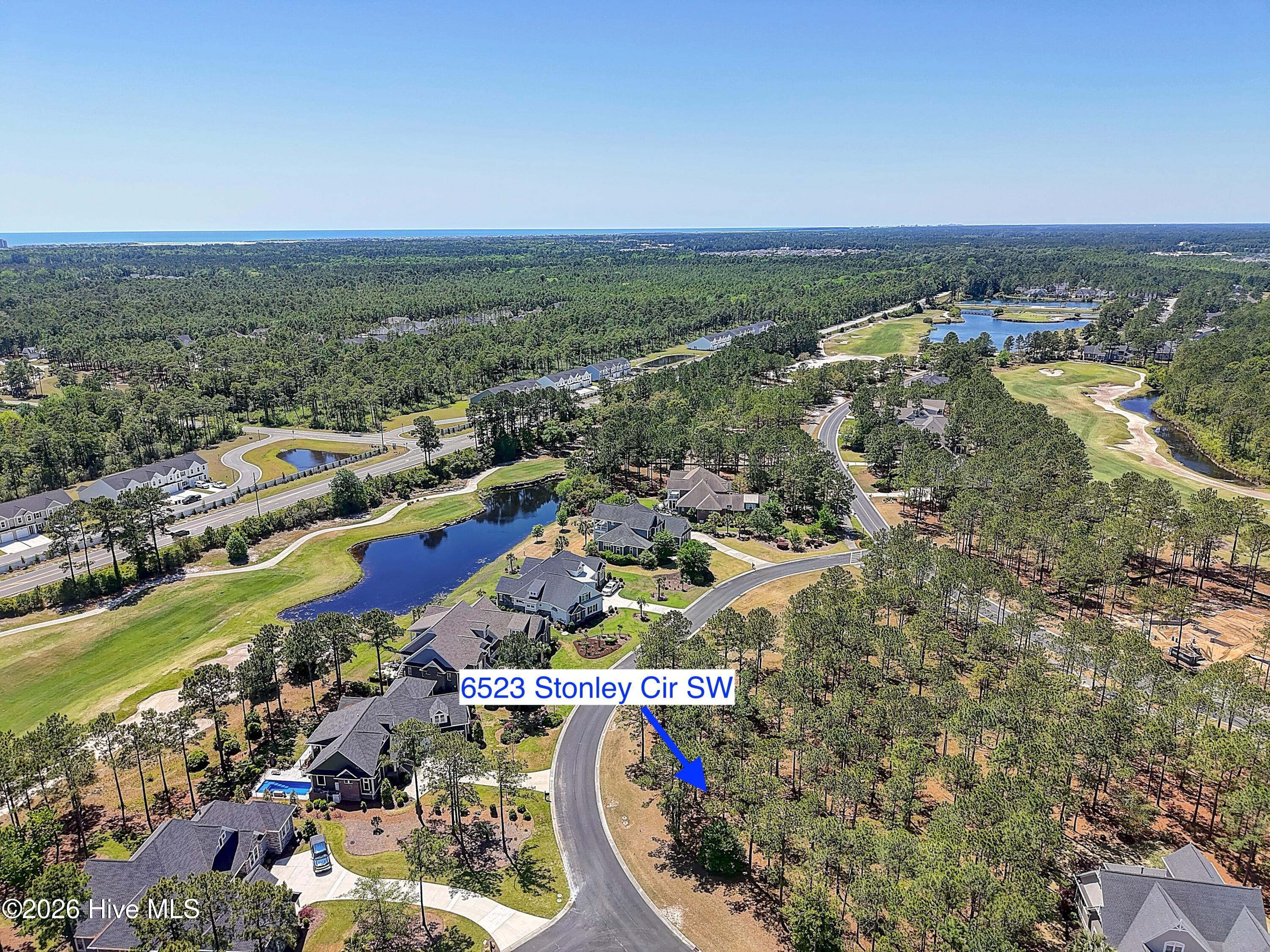 100569587 | Photo 10