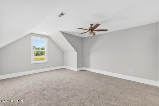 100491701 | Photo 41