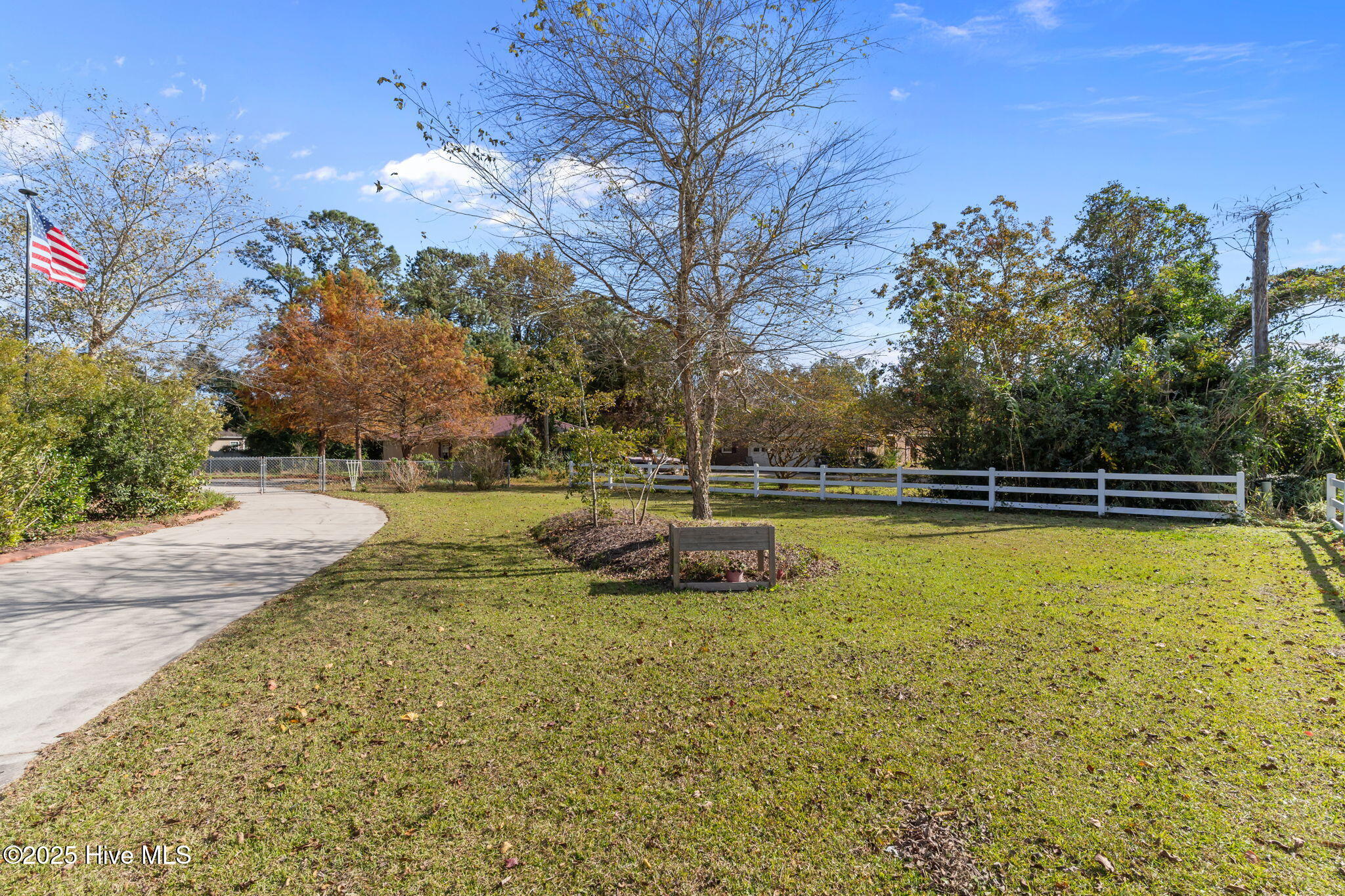 100540353 | Photo 63