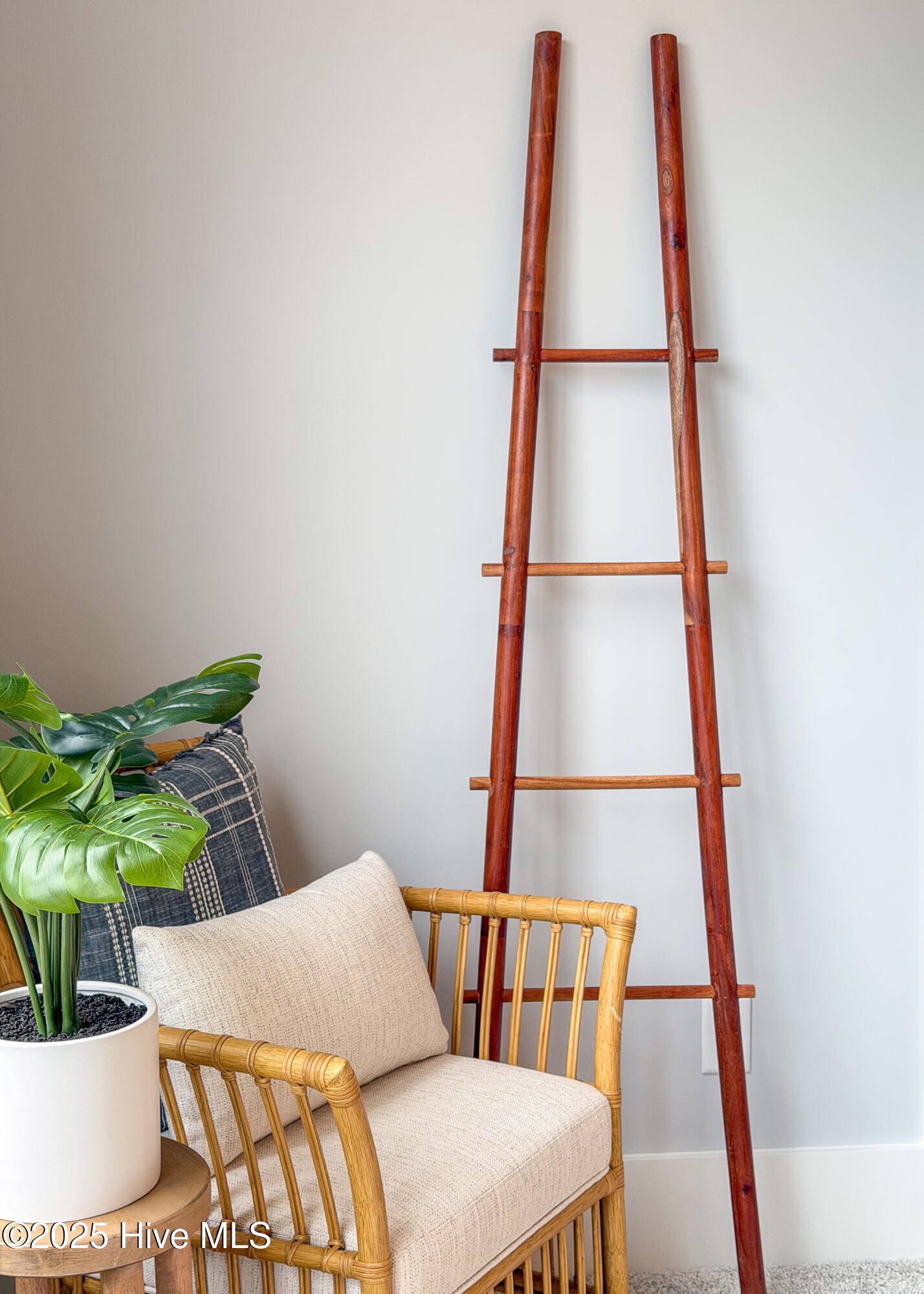 100524919 | Photo 29