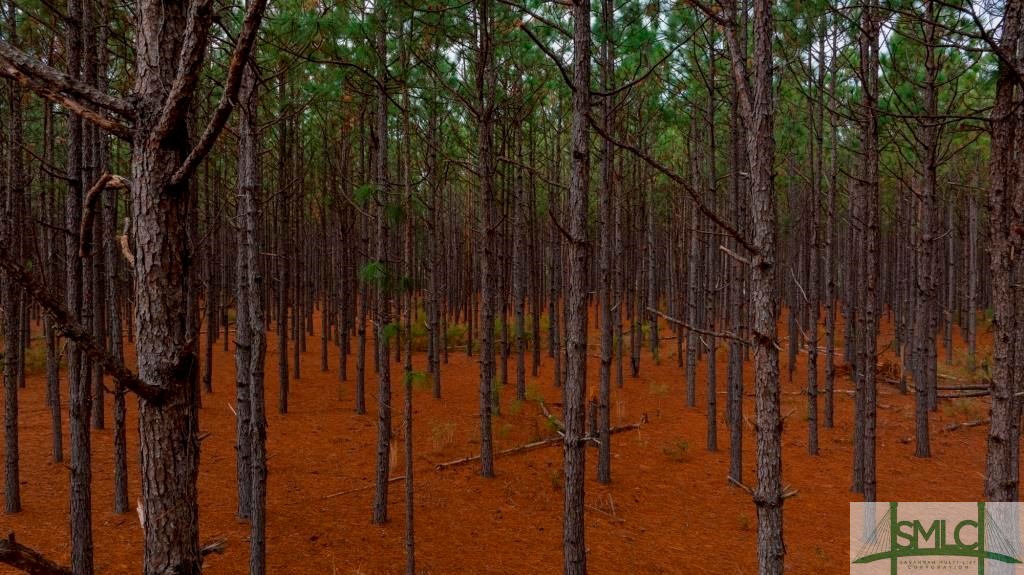 Undisclosed Address, Sylvania, GA, 30467