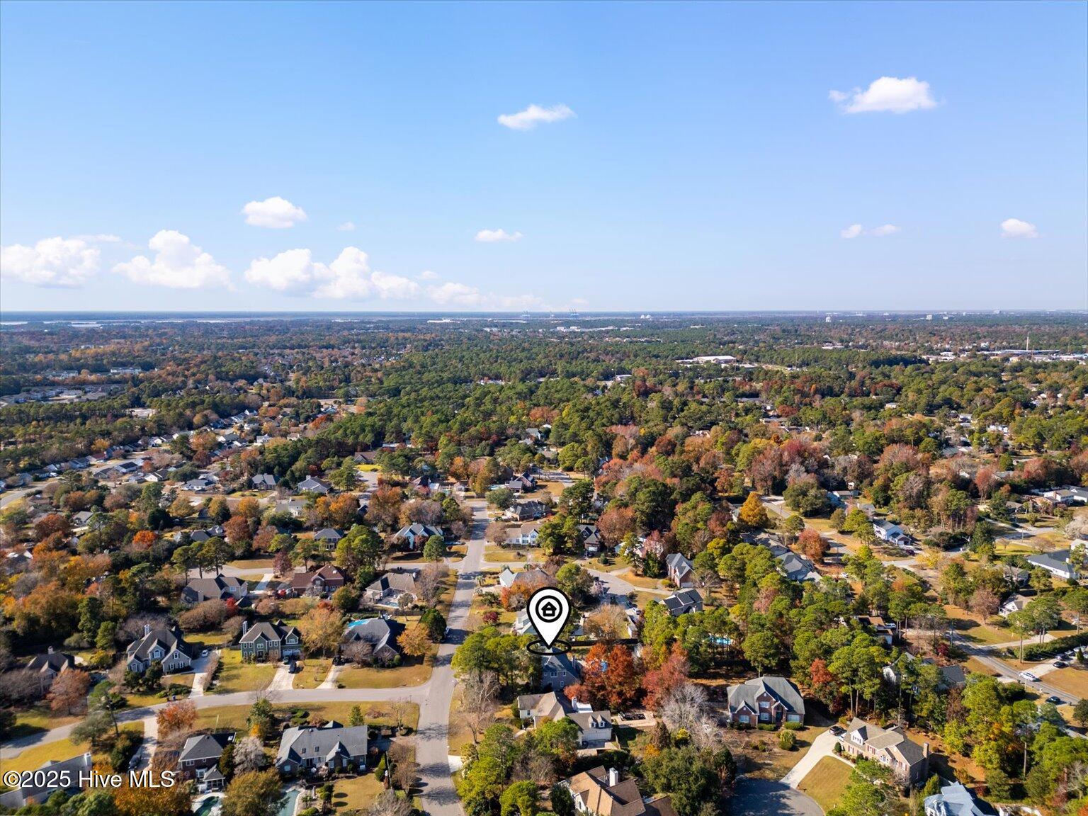 100542607 | Photo 49