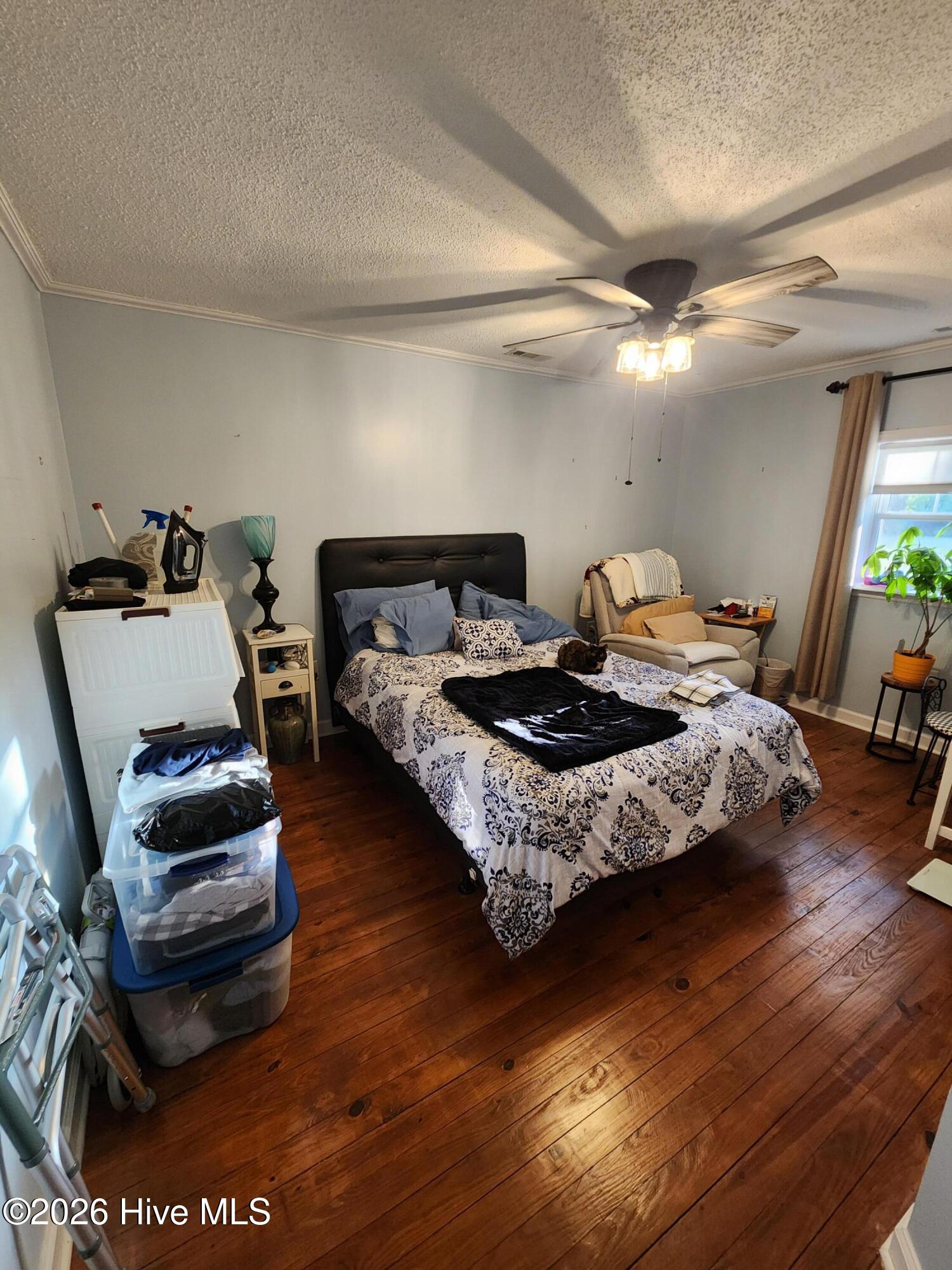 2523 Belgrade Swansboro Road,Maysville
