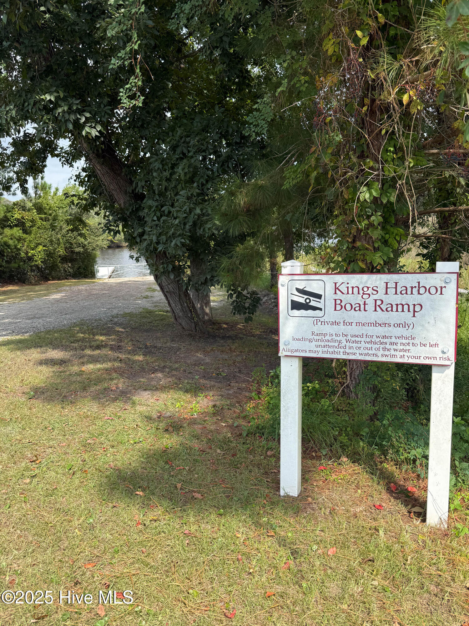 100559768 | Photo 50