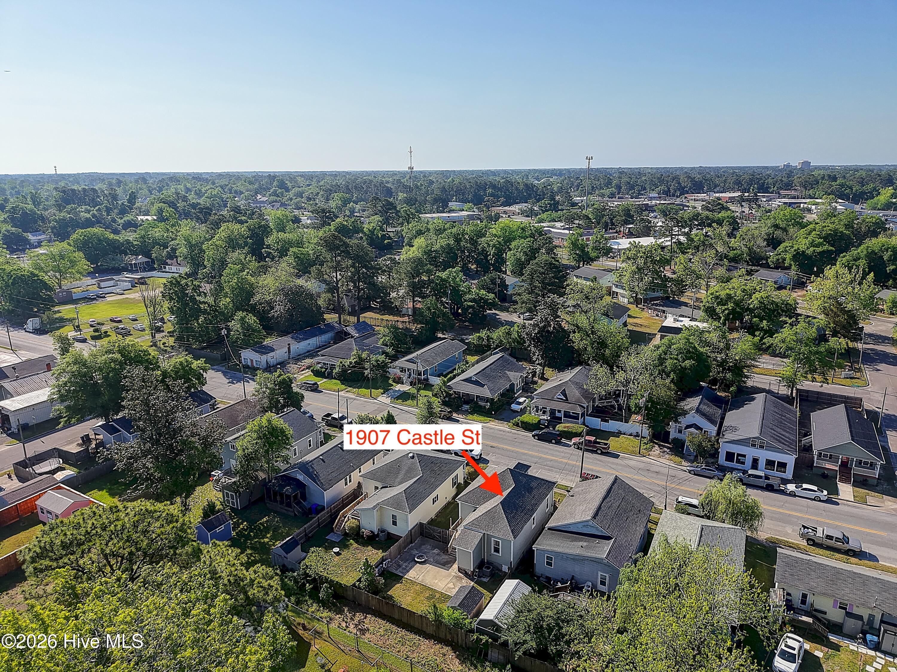 100568086 | Photo 42