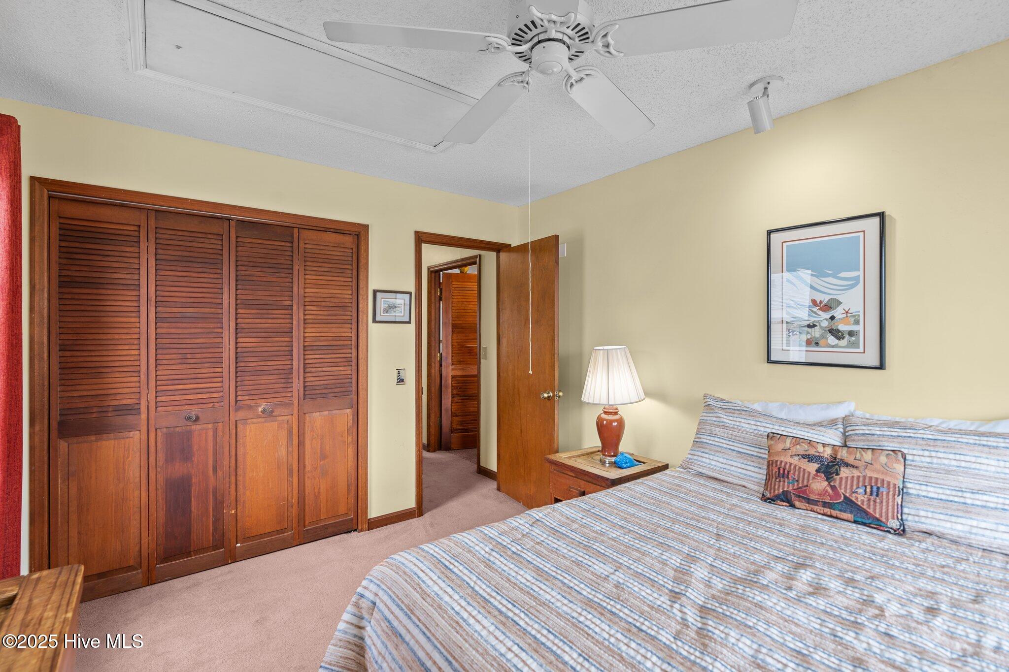 100513901 | Photo 38