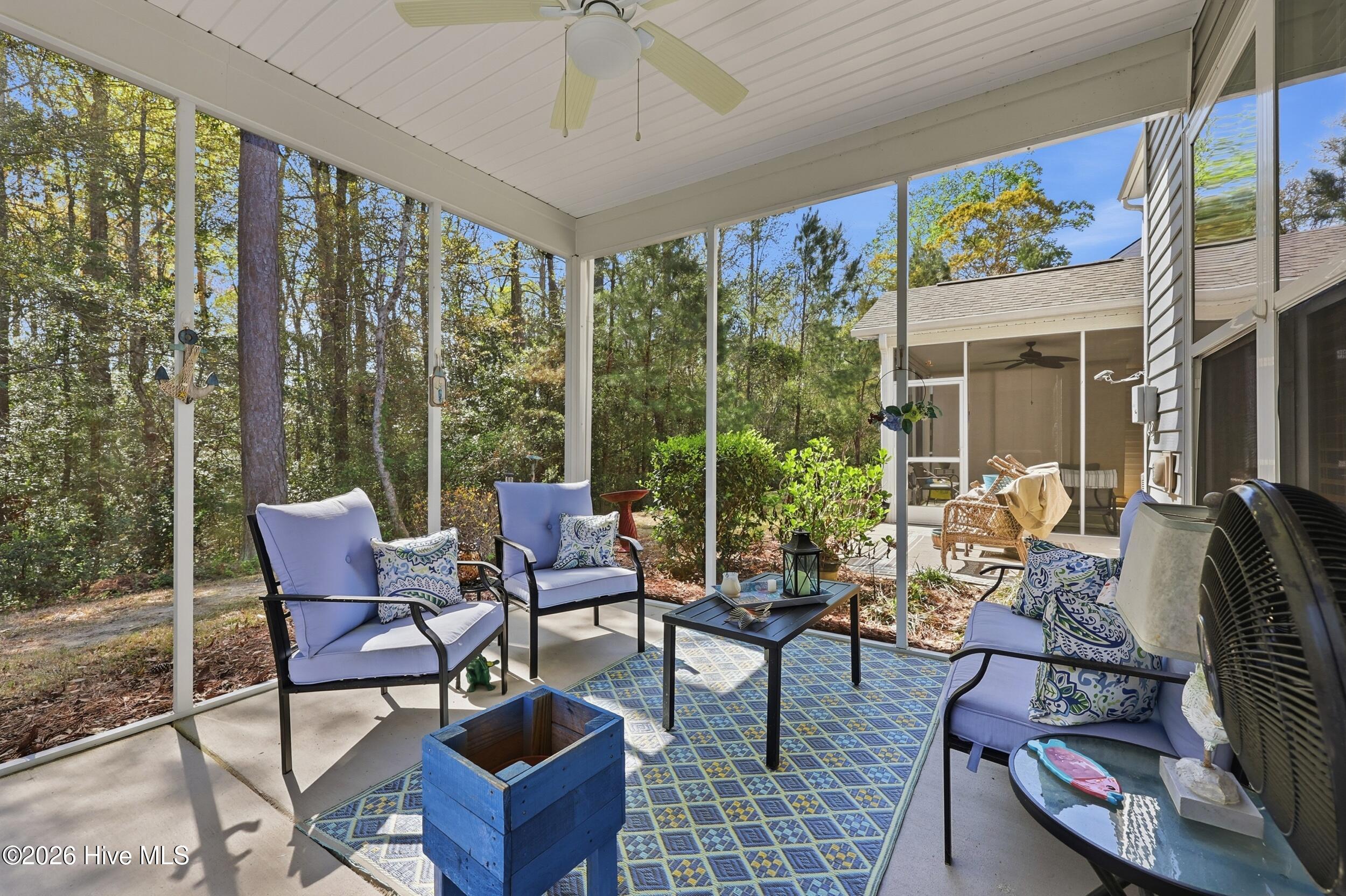 100564272 | Photo 17