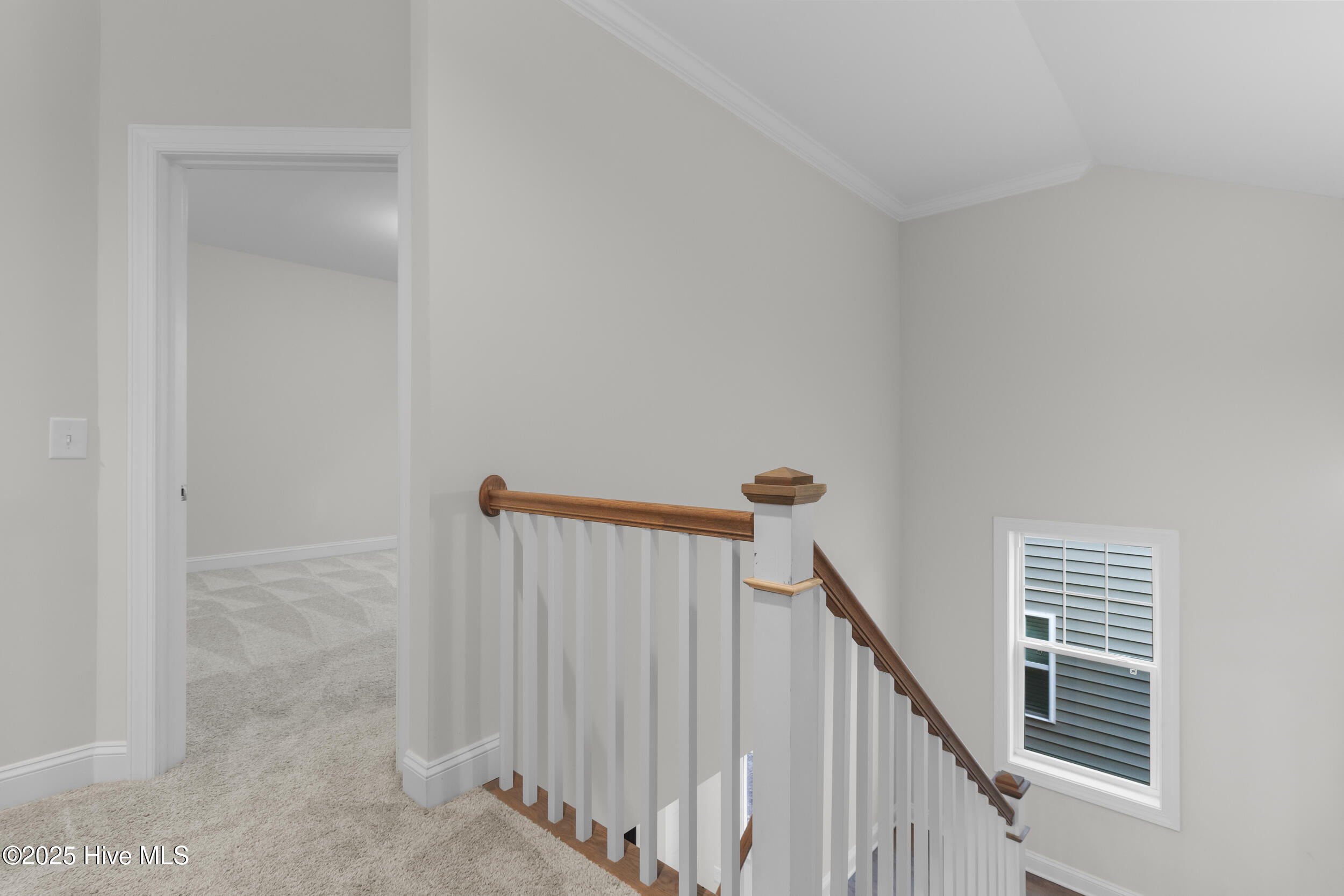 100538867 | Photo 25