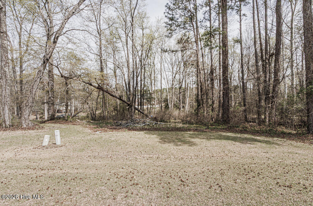 100561851 | Photo 2