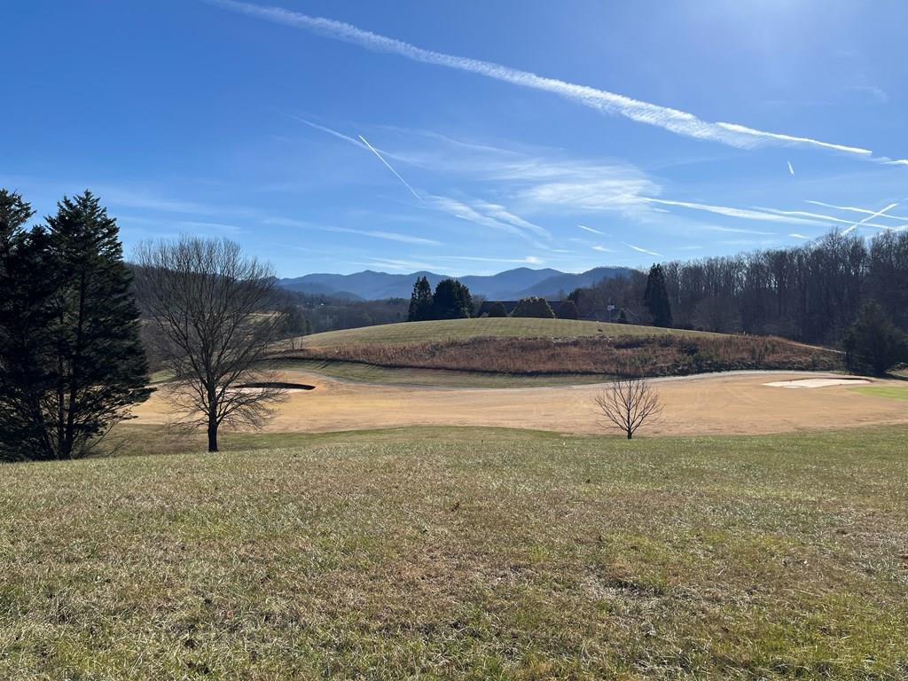 Listing Photo 98500188