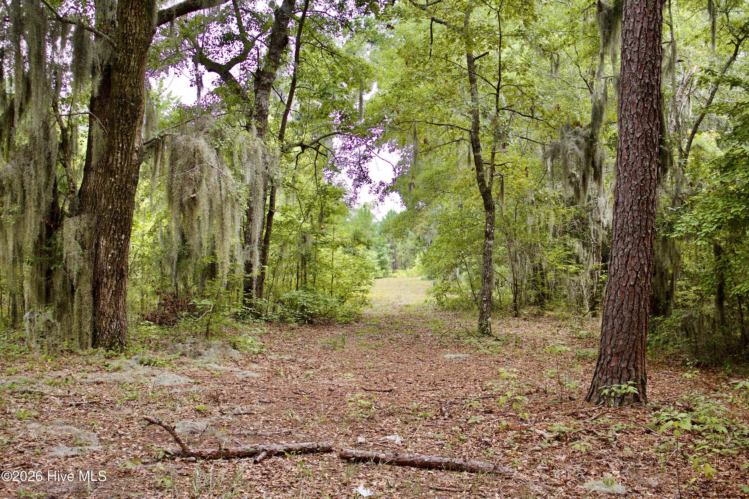 385 Sand Ridge Road,New Bern